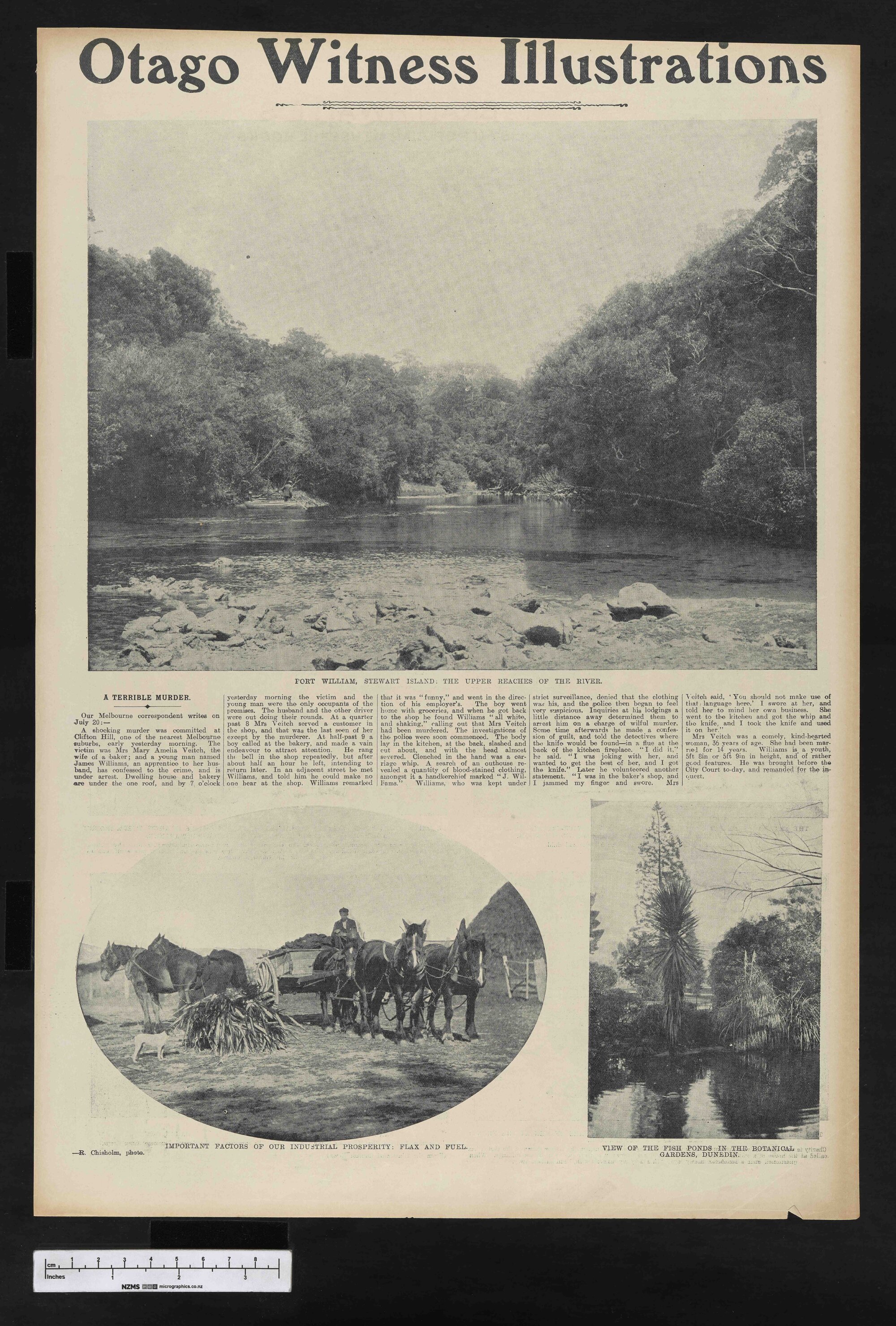 1904-08-03 Otago Witness