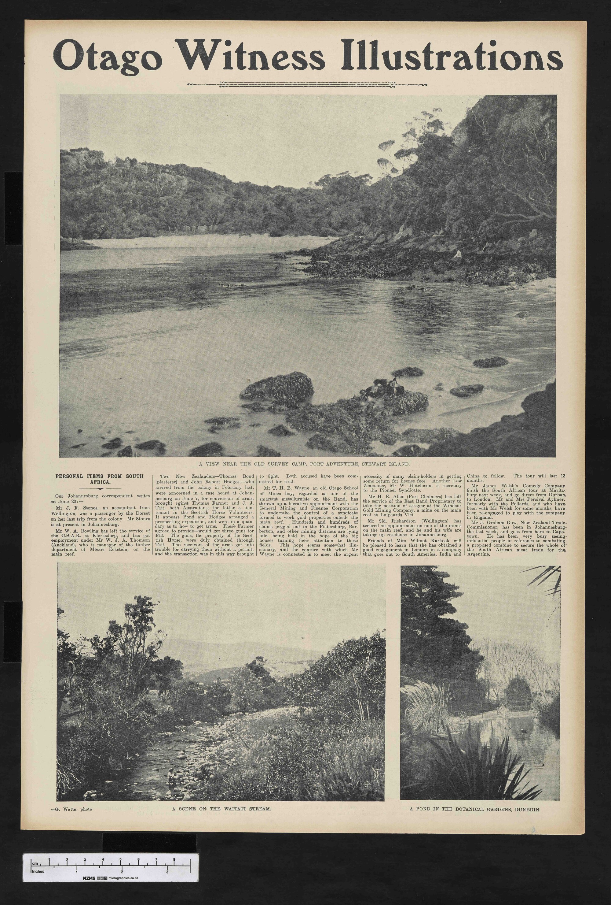 1904-08-10 Otago Witness