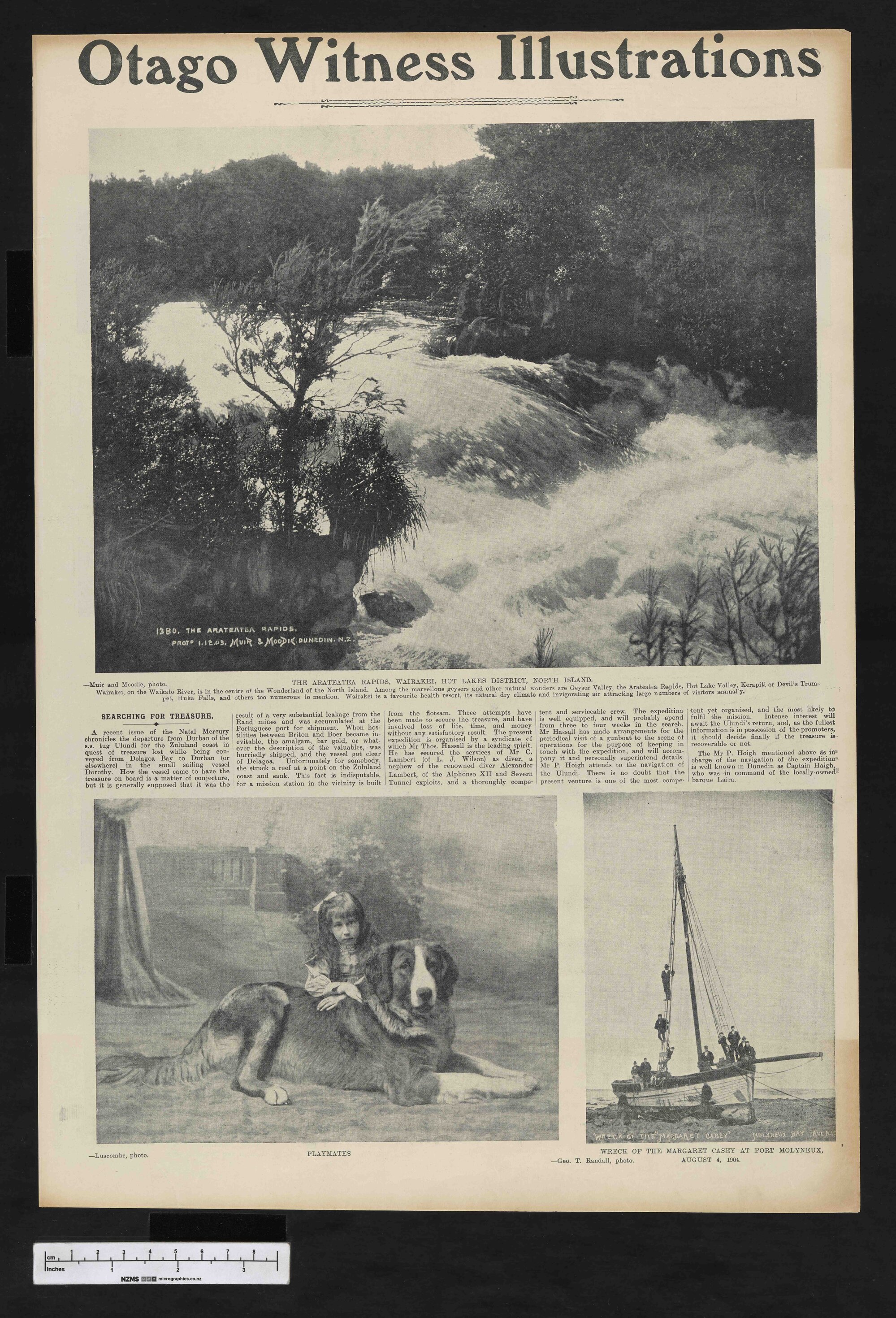 1904-08-17 Otago Witness