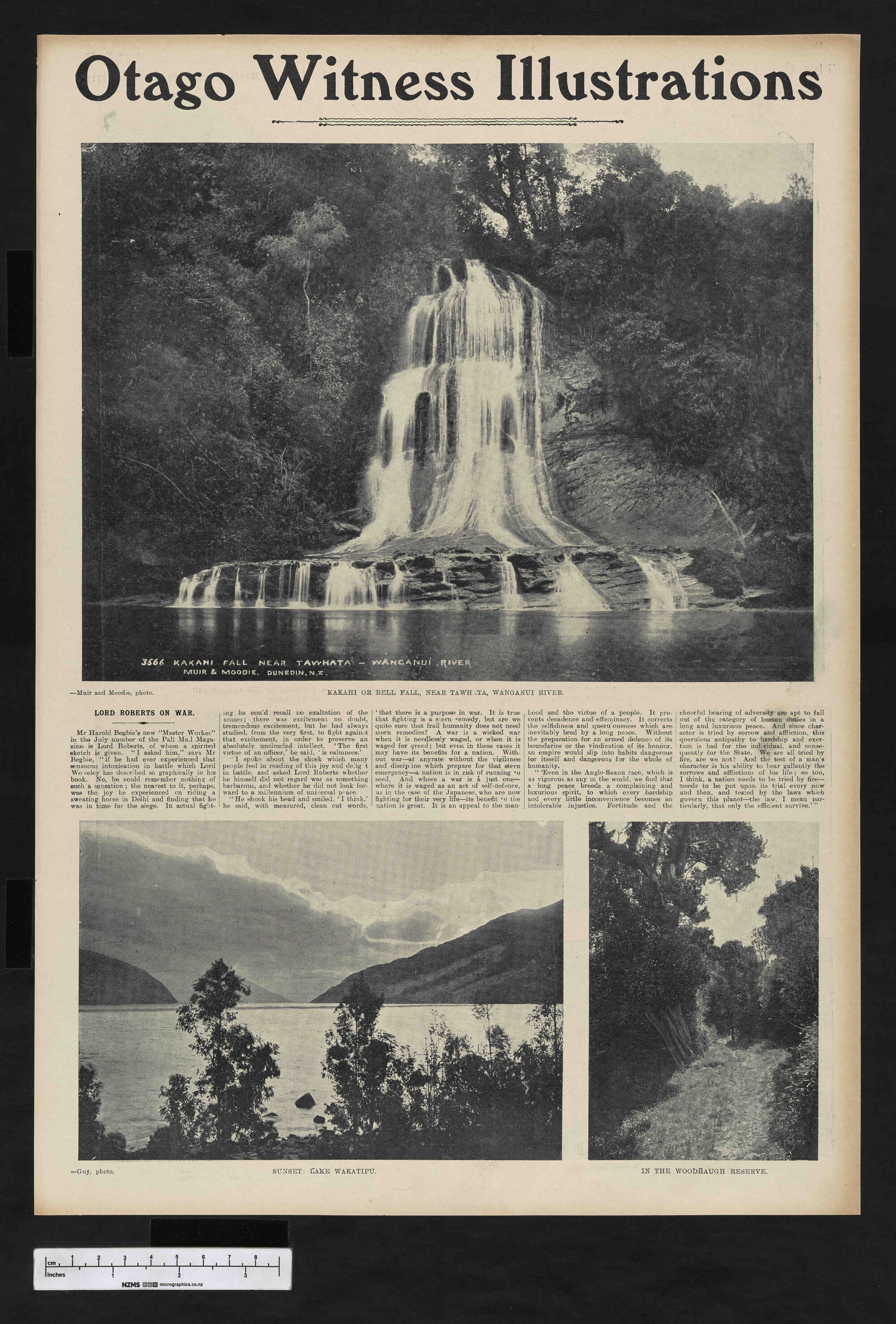 1904-08-24 Otago Witness