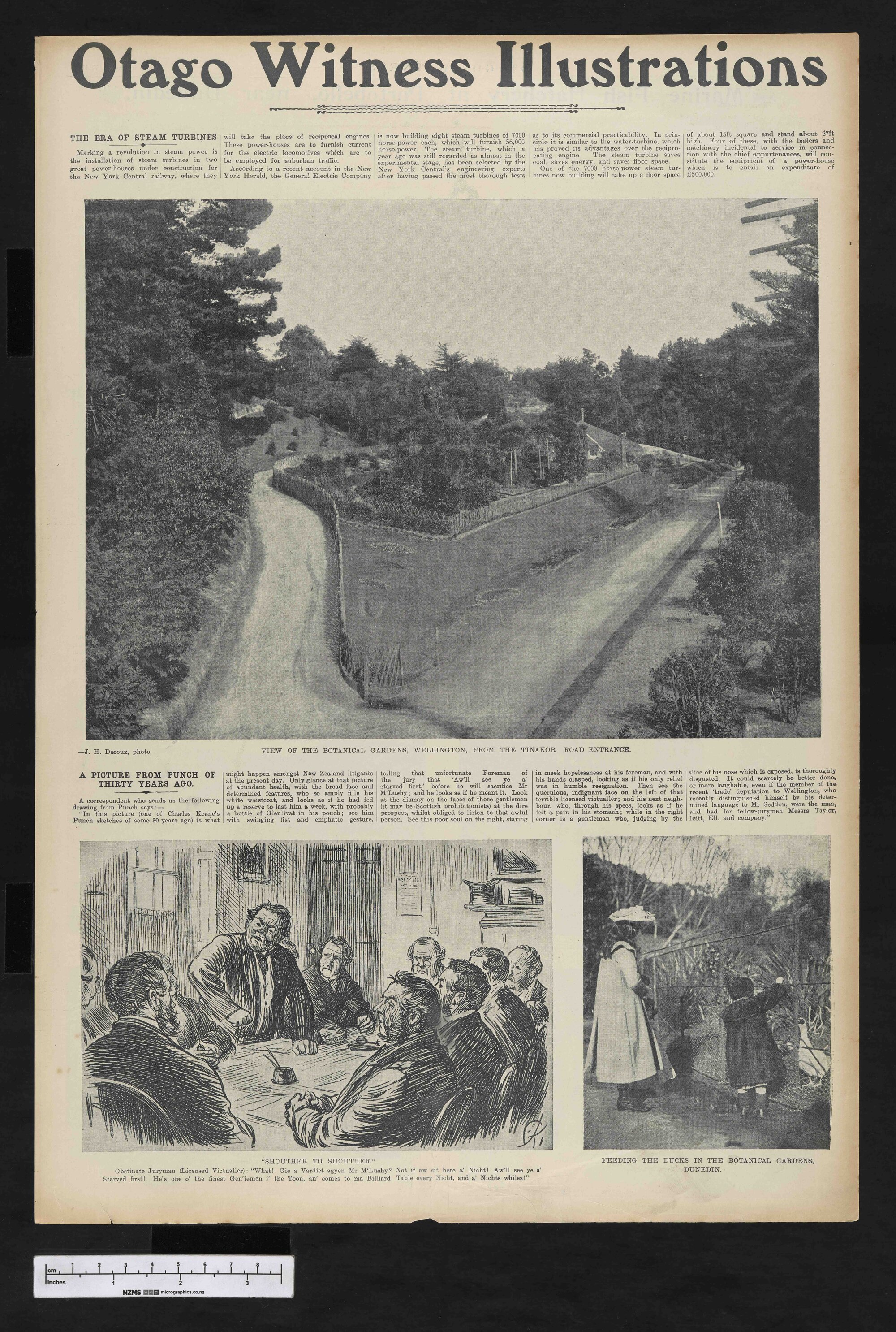 1904-09-05 Otago Witness