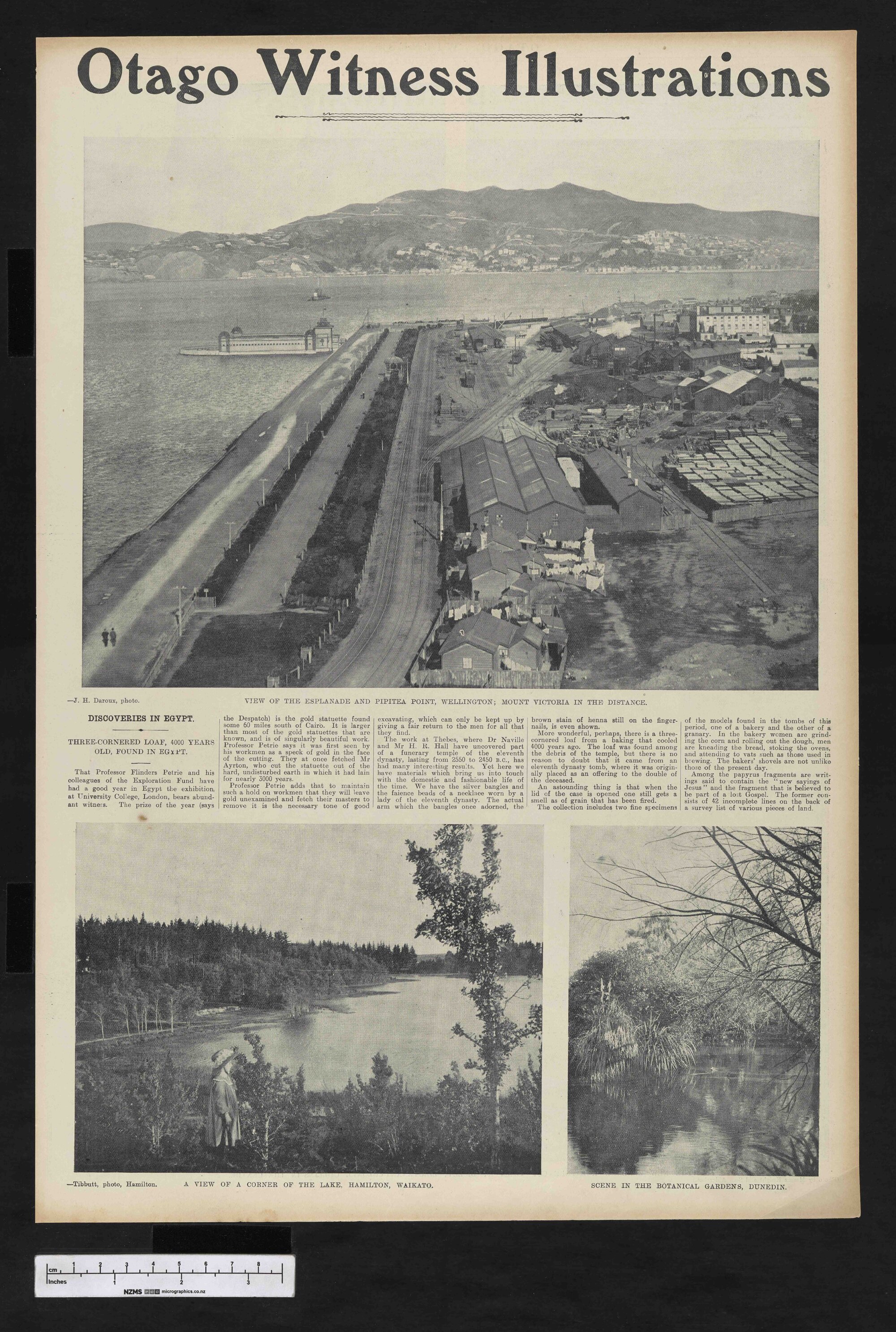 1904-09-12 Otago Witness