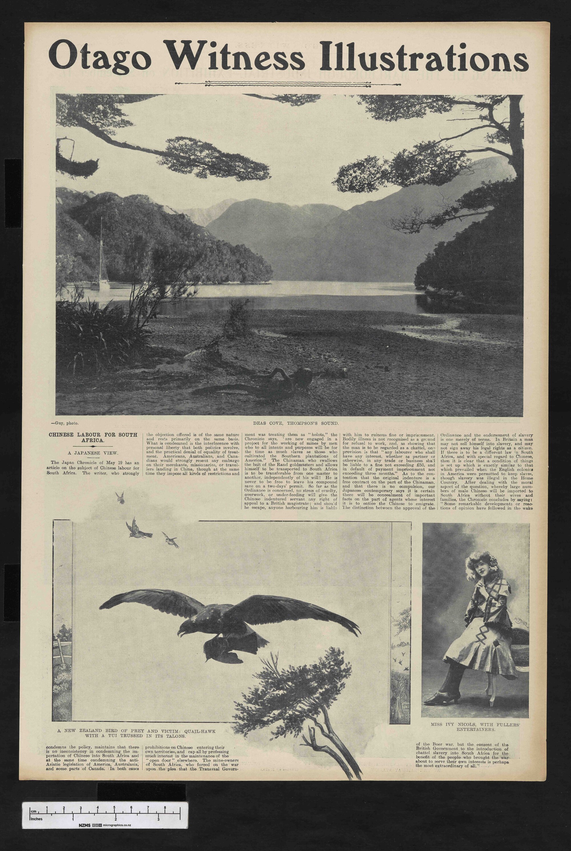 1904-09-26 Otago Witness