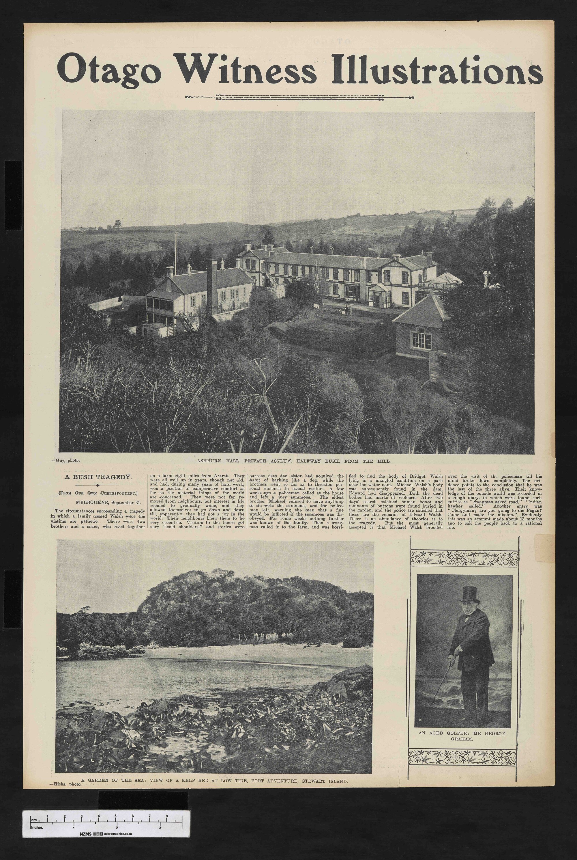 1904-10-05 Otago Witness