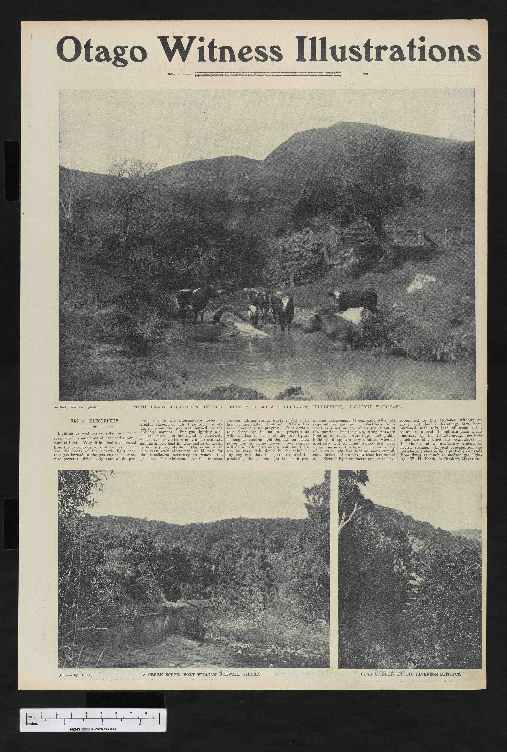 1904-10-19 Otago Witness