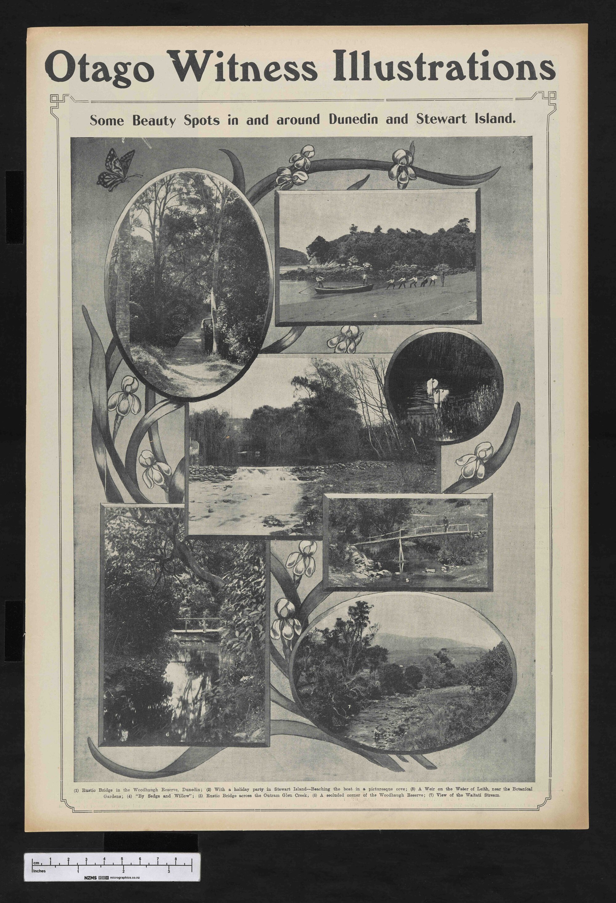 1904-11-02 Otago Witness