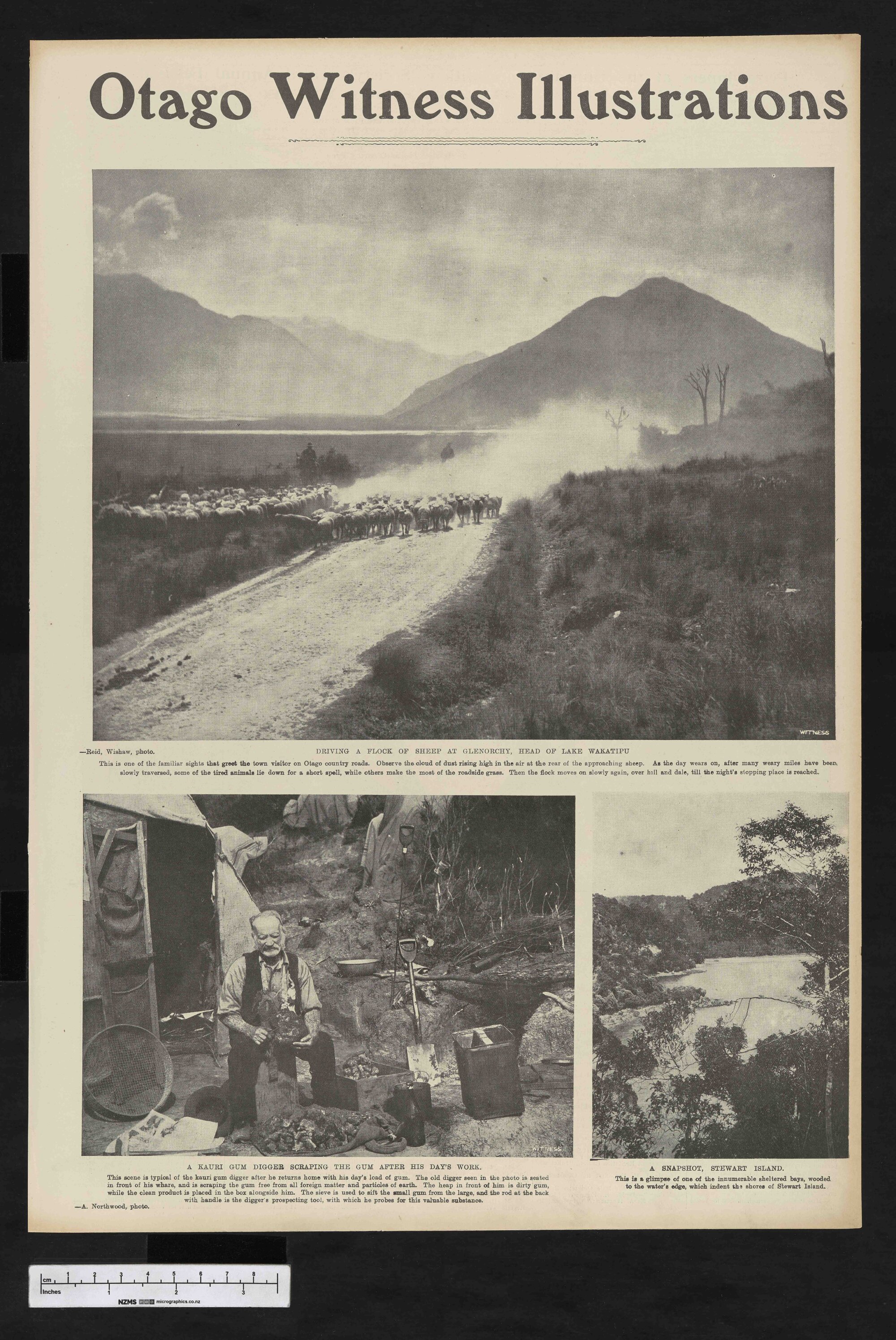 1904-11-16 Otago Witness