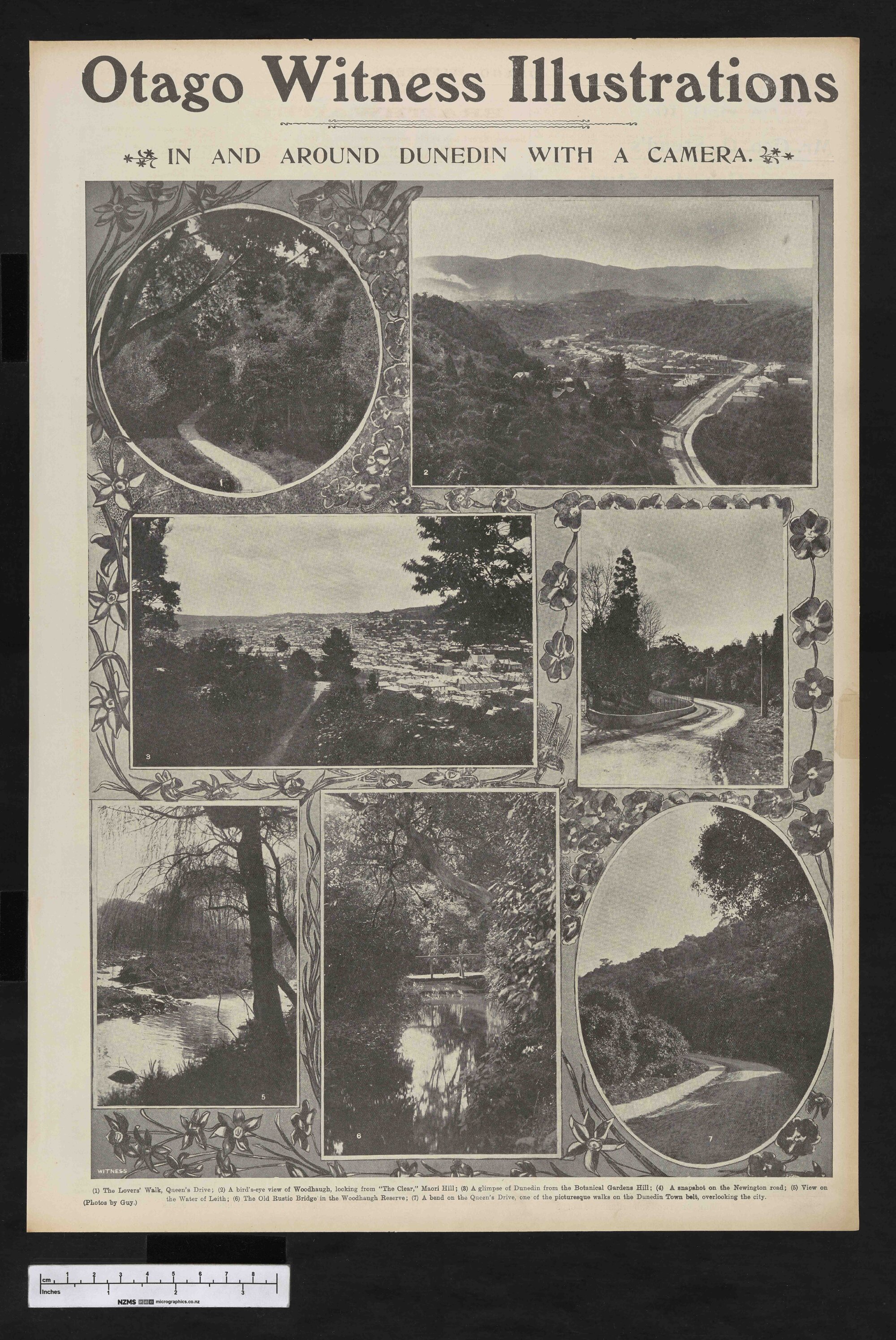 1904-11-23 Otago Witness