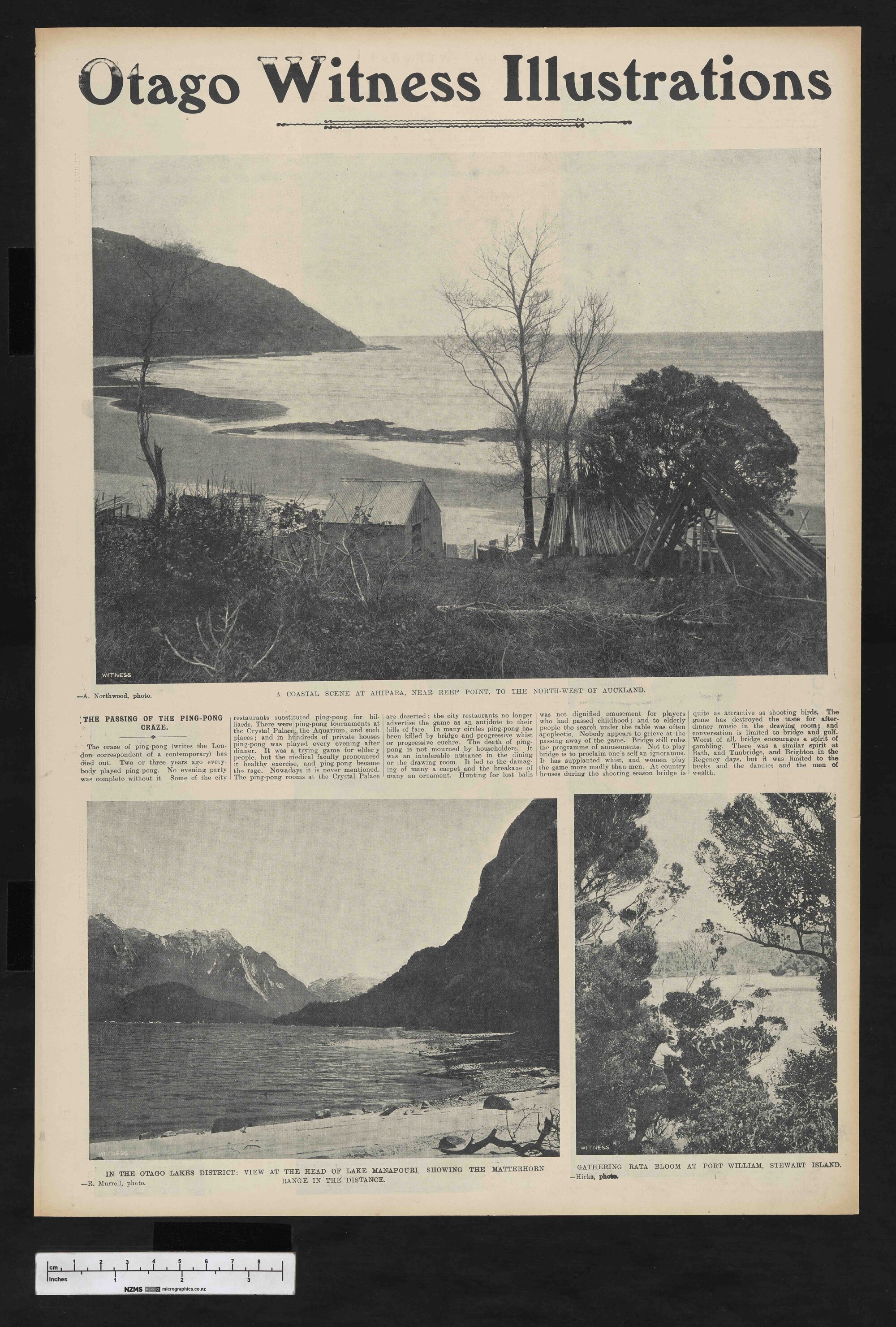 1904-12-28 Otago Witness