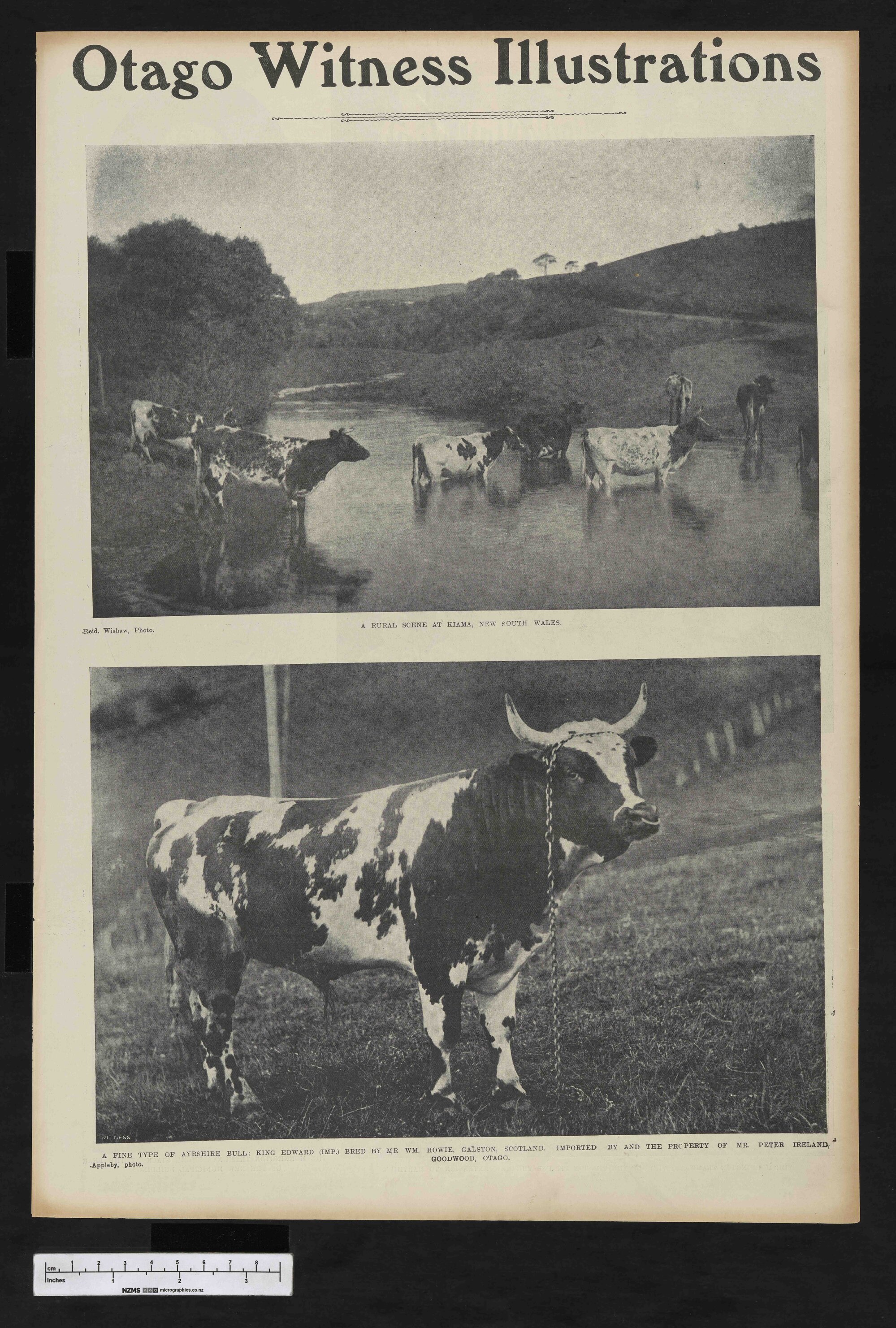 1905-01-18 Otago Witness