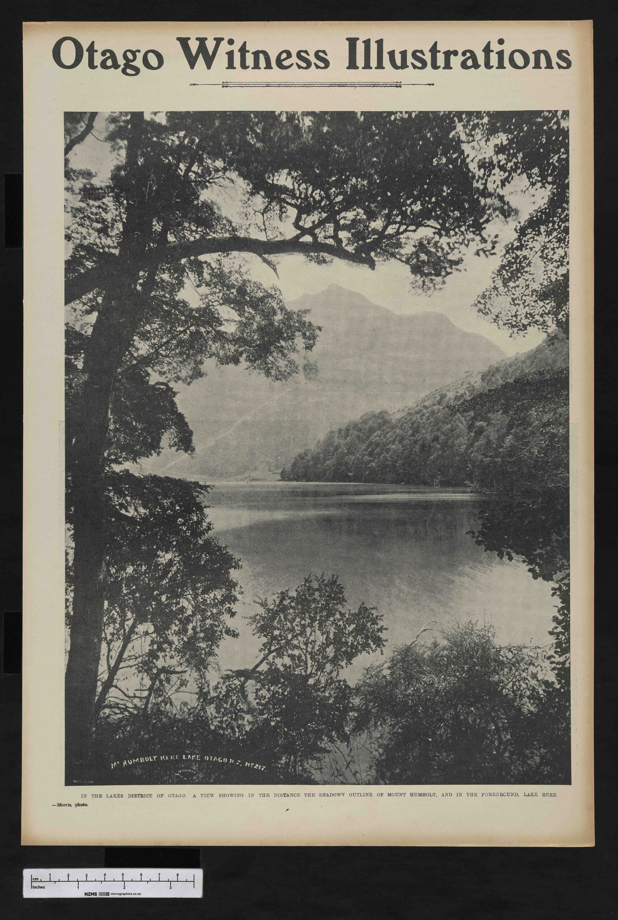 1905-01-25 Otago Witness