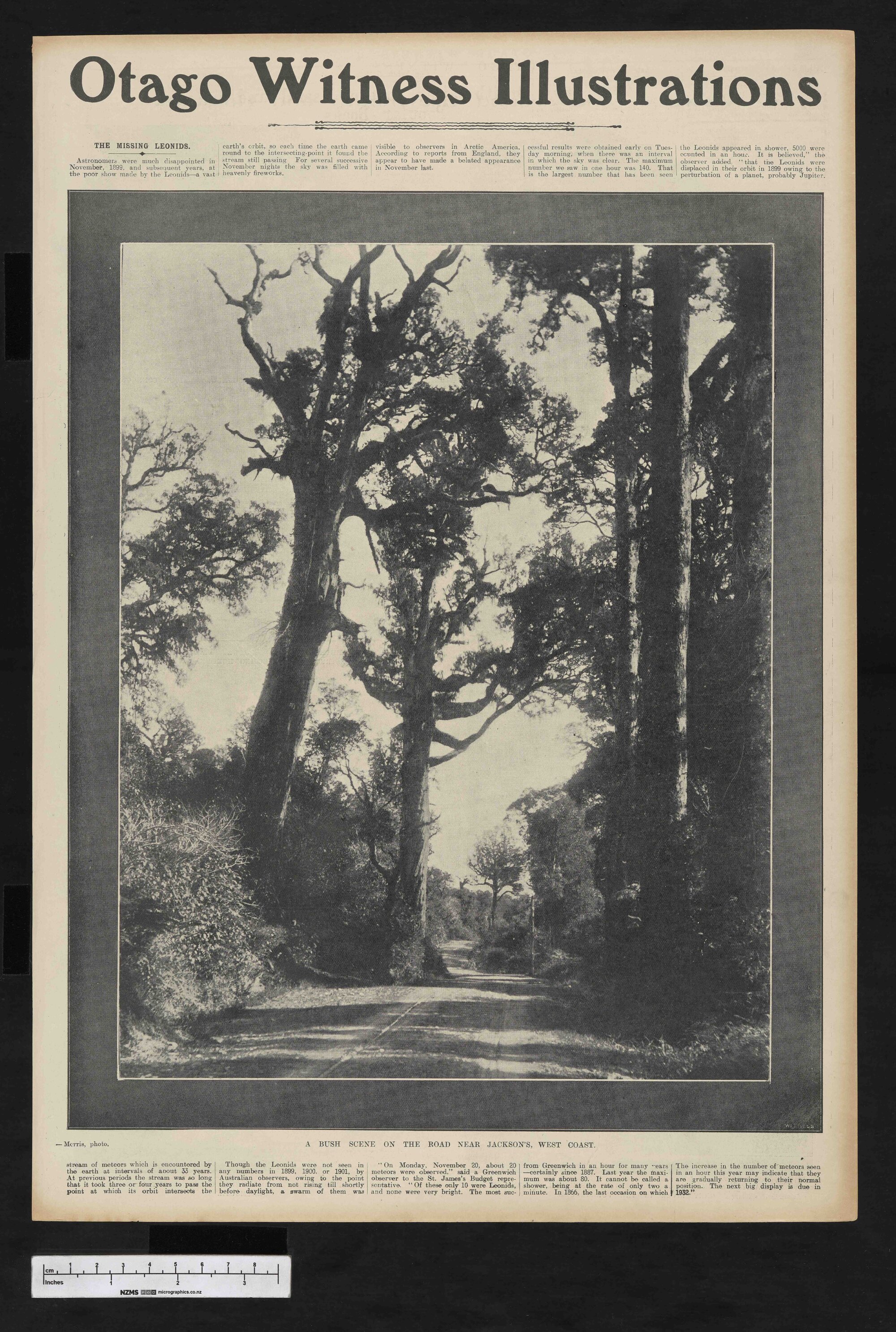 1905-02-01 Otago Witness