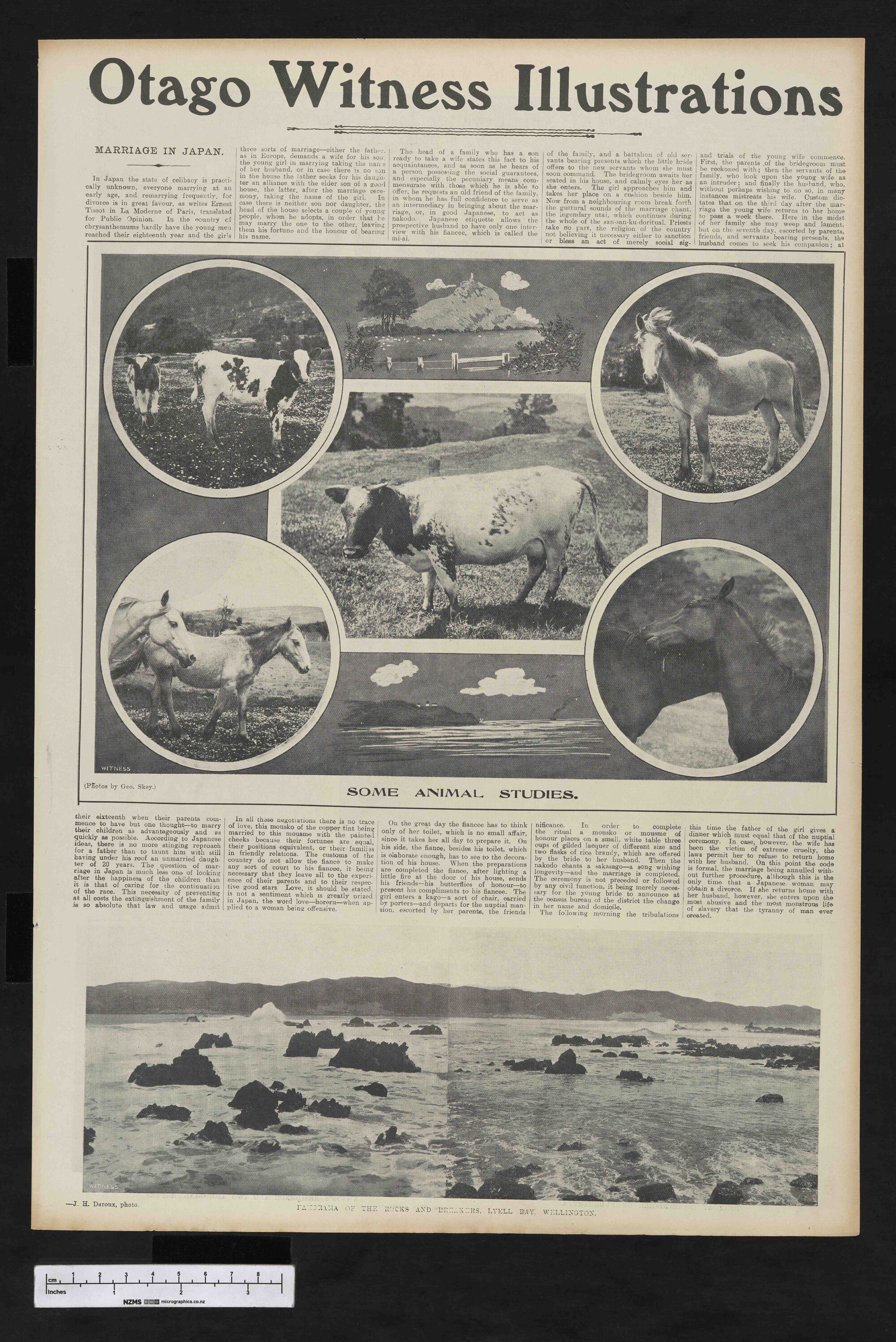 1905-02-08 Otago Witness