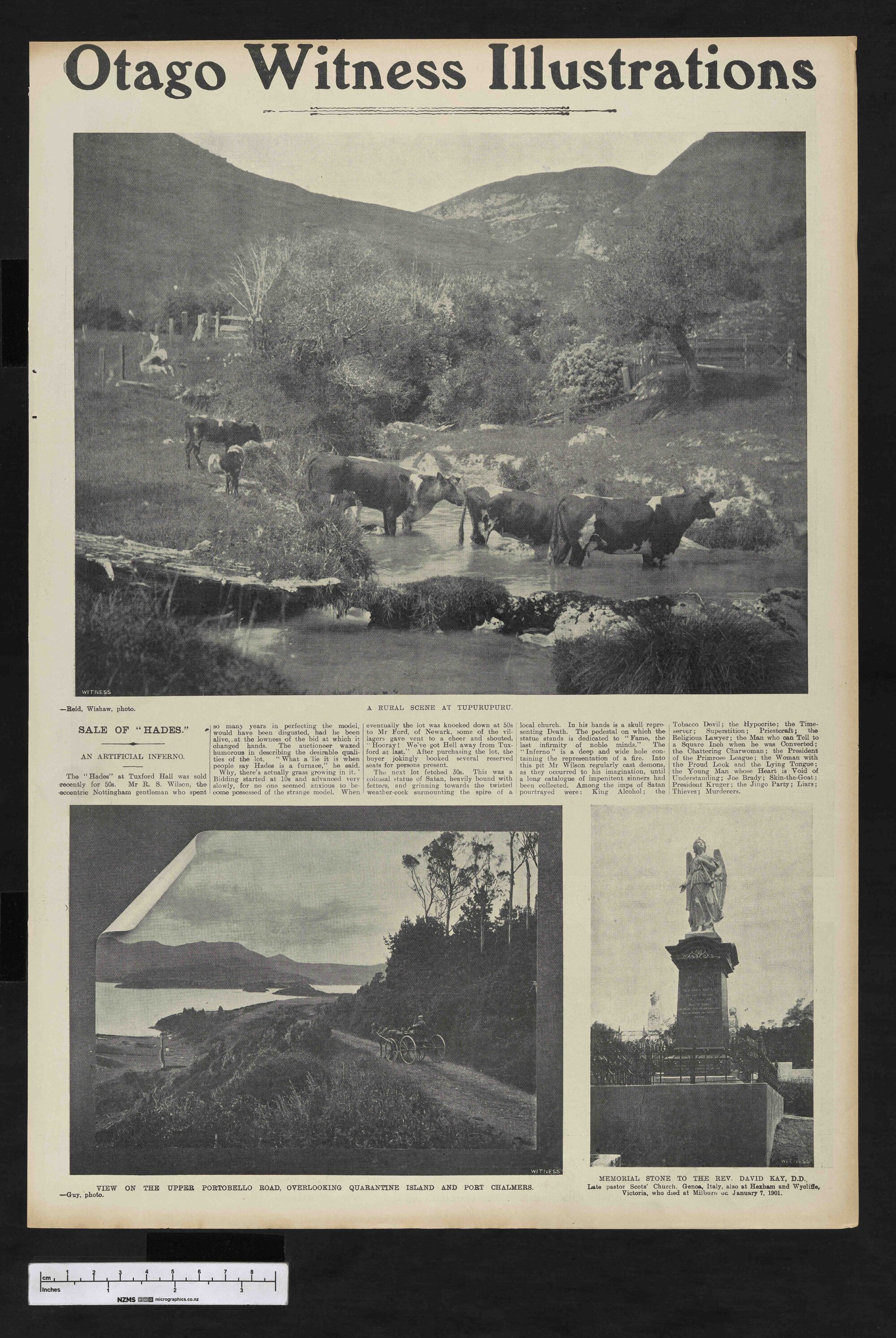 1905-02-15 Otago Witness