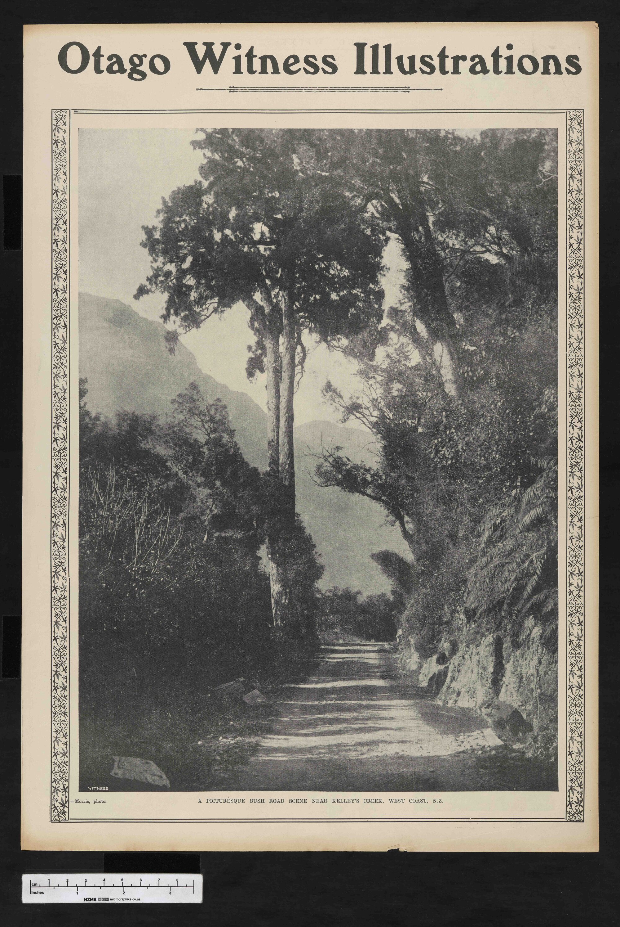 1905-03-01 Otago Witness