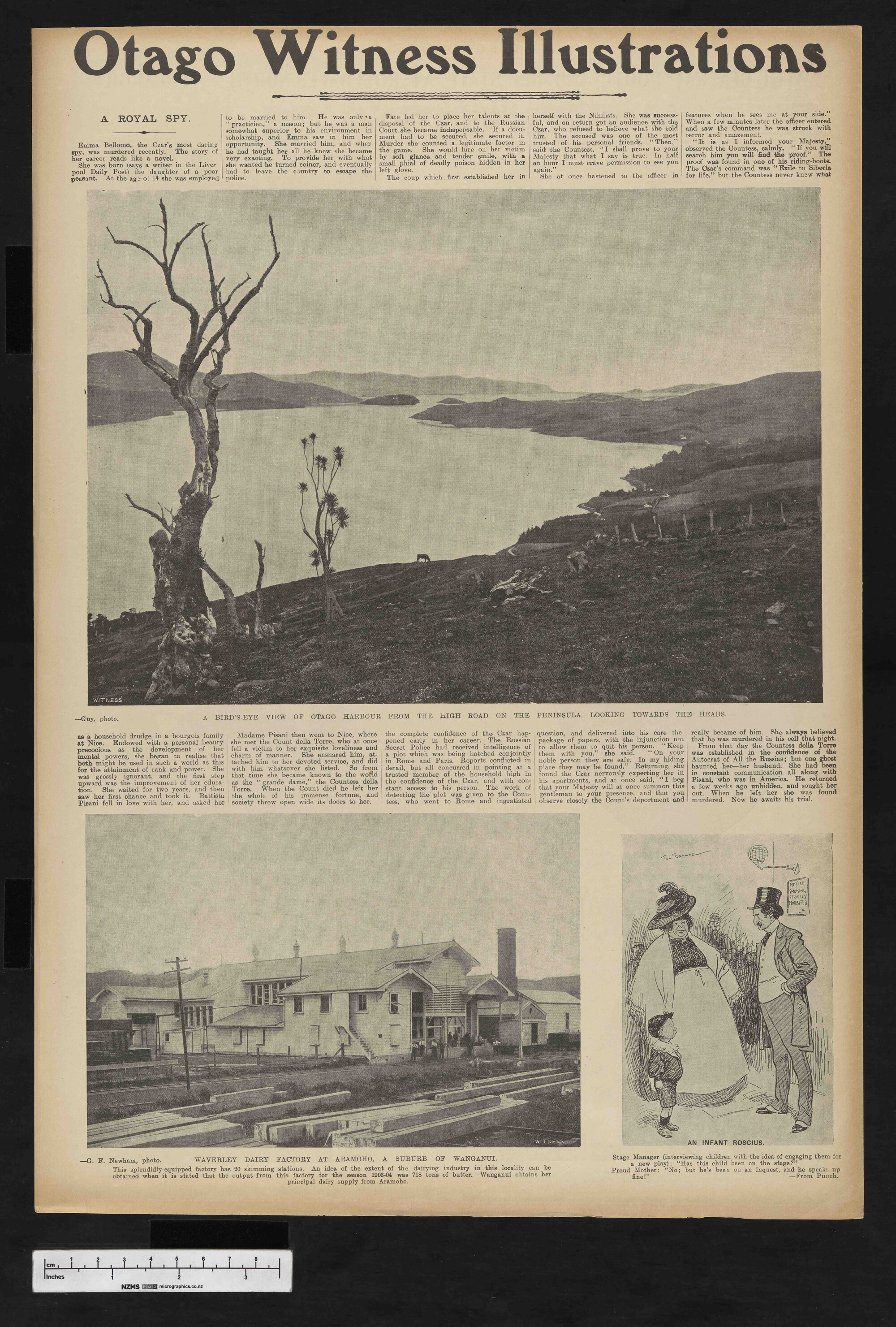 1905-04-26 Otago Witness