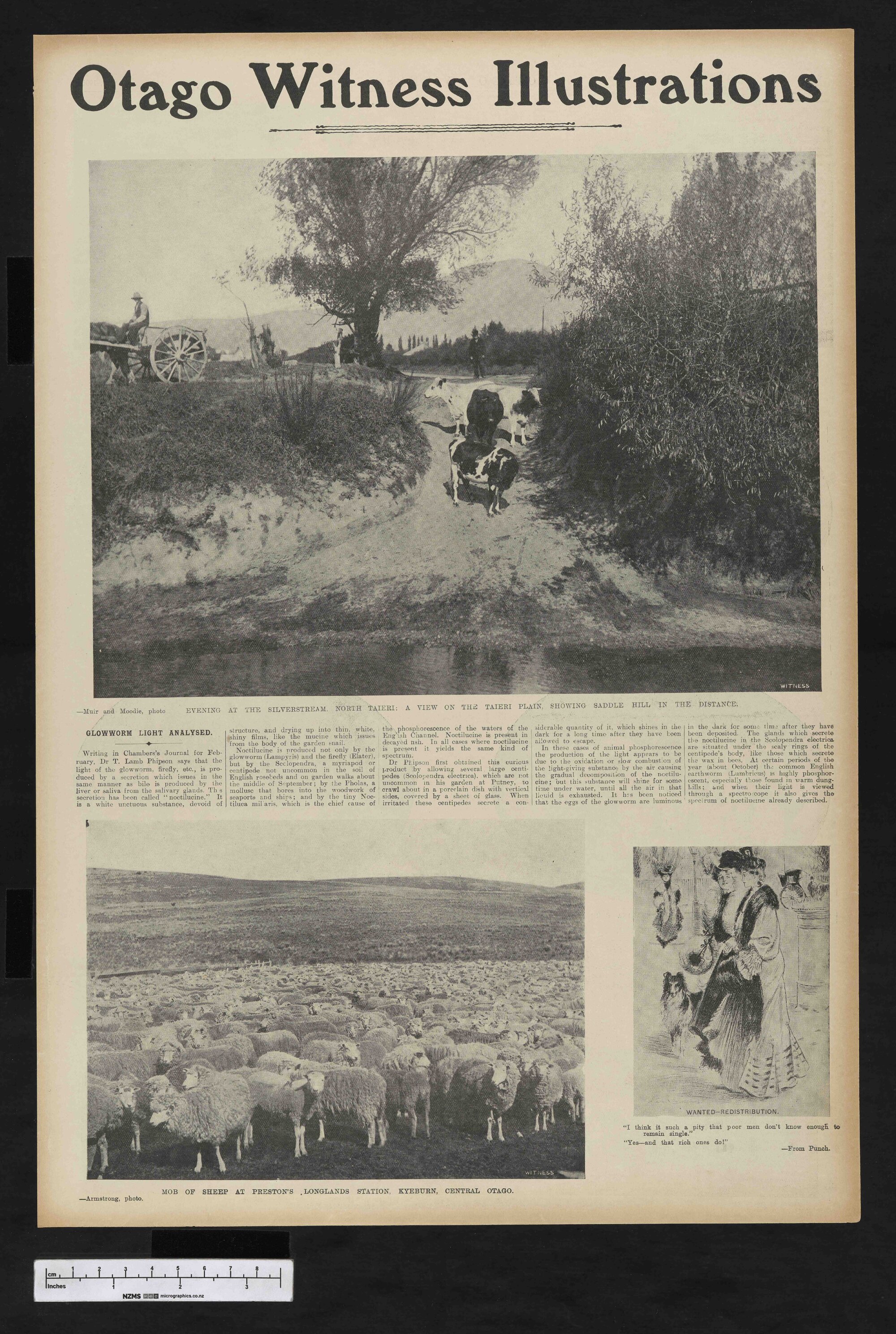 1905-05-10 Otago Witness