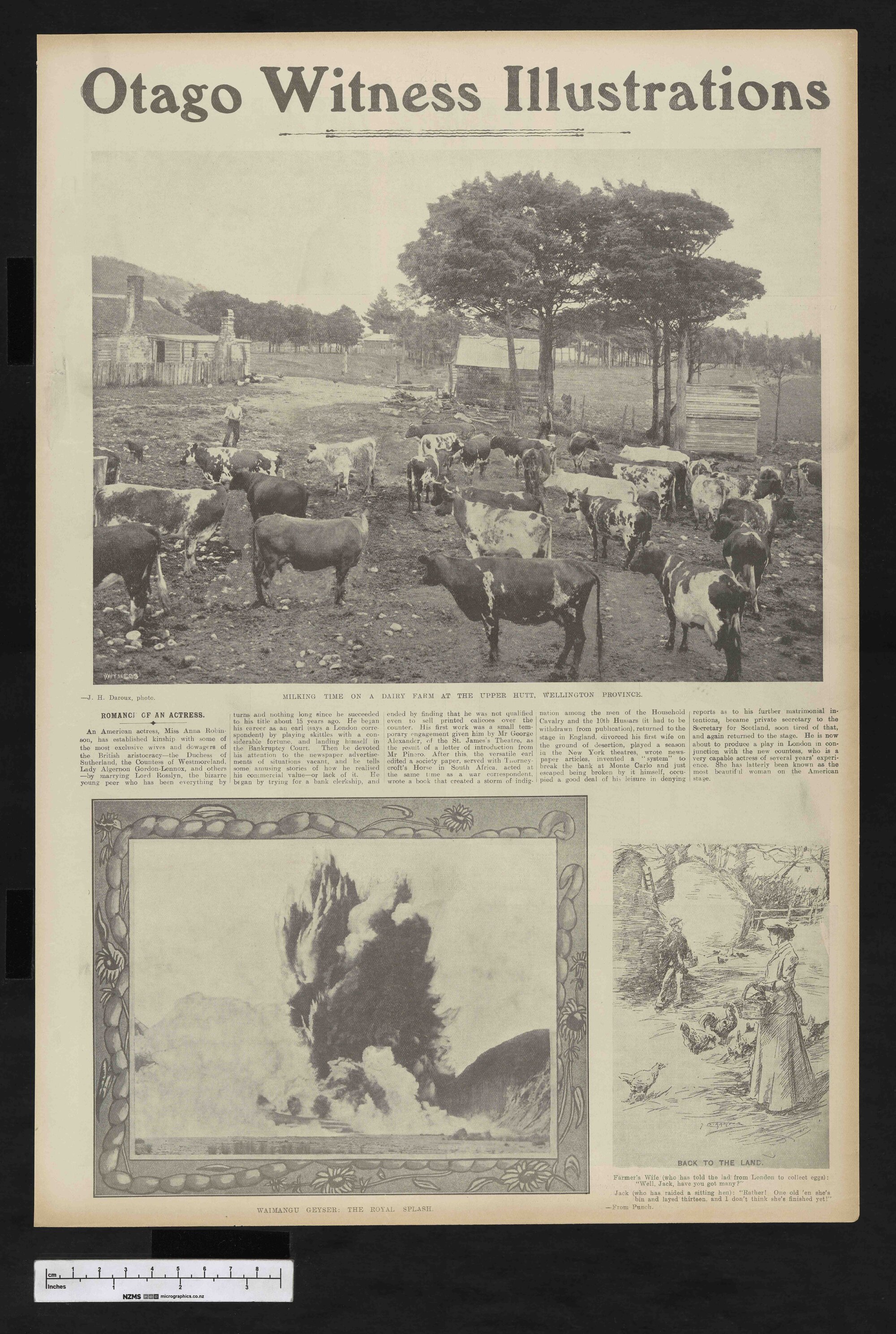 1905-05-31 Otago Witness