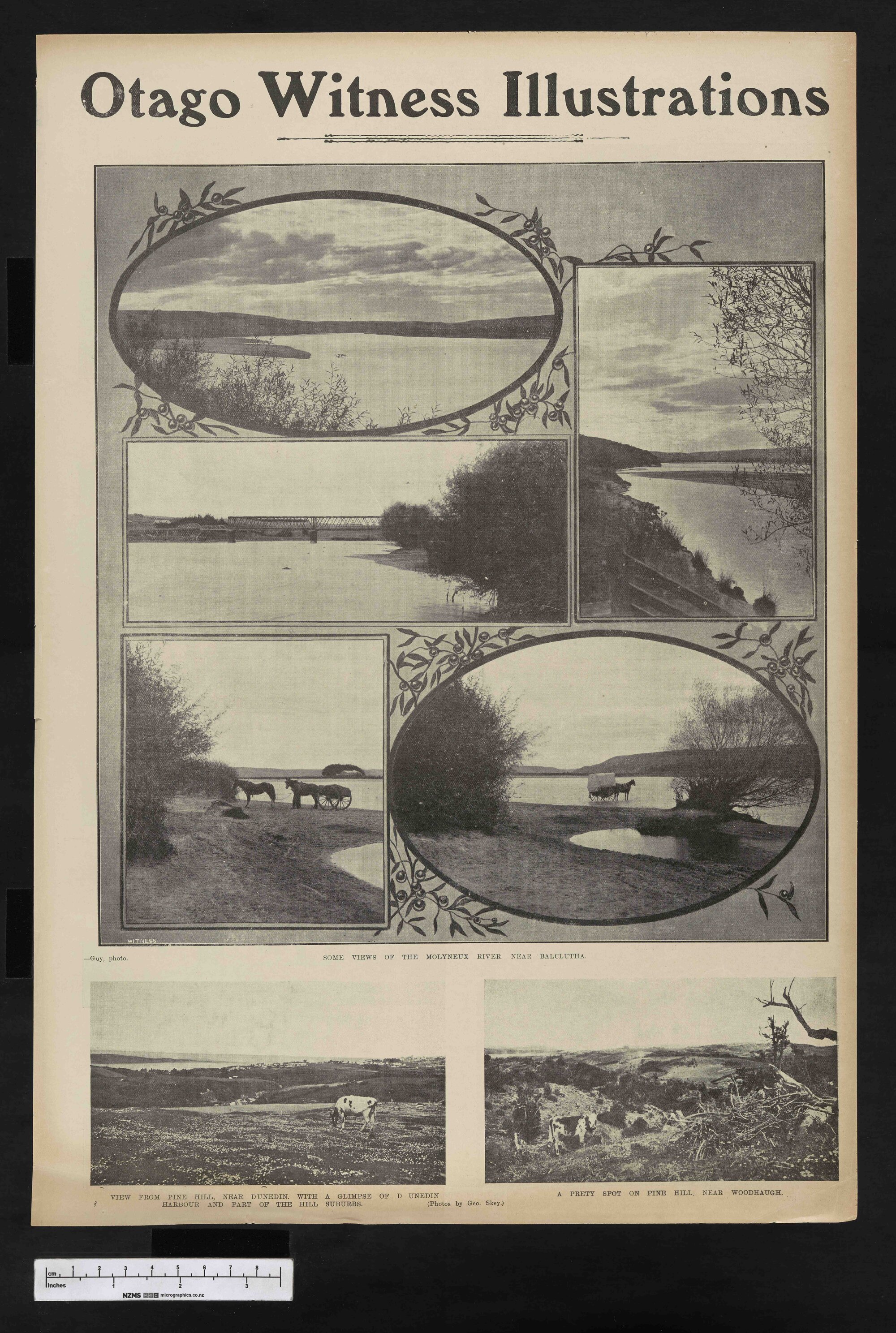 1905-06-07 Otago Witness