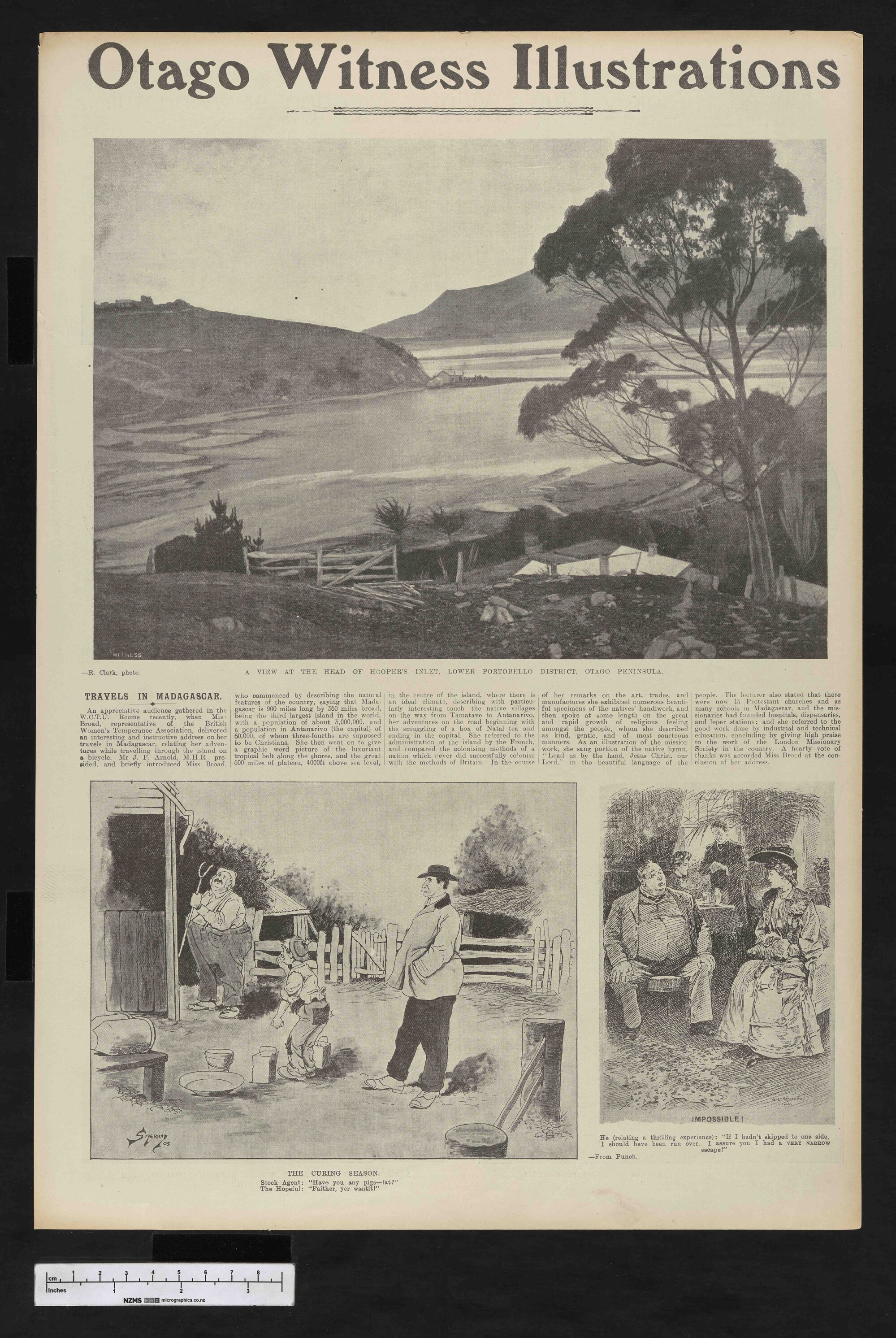 1905-06-14 Otago Witness