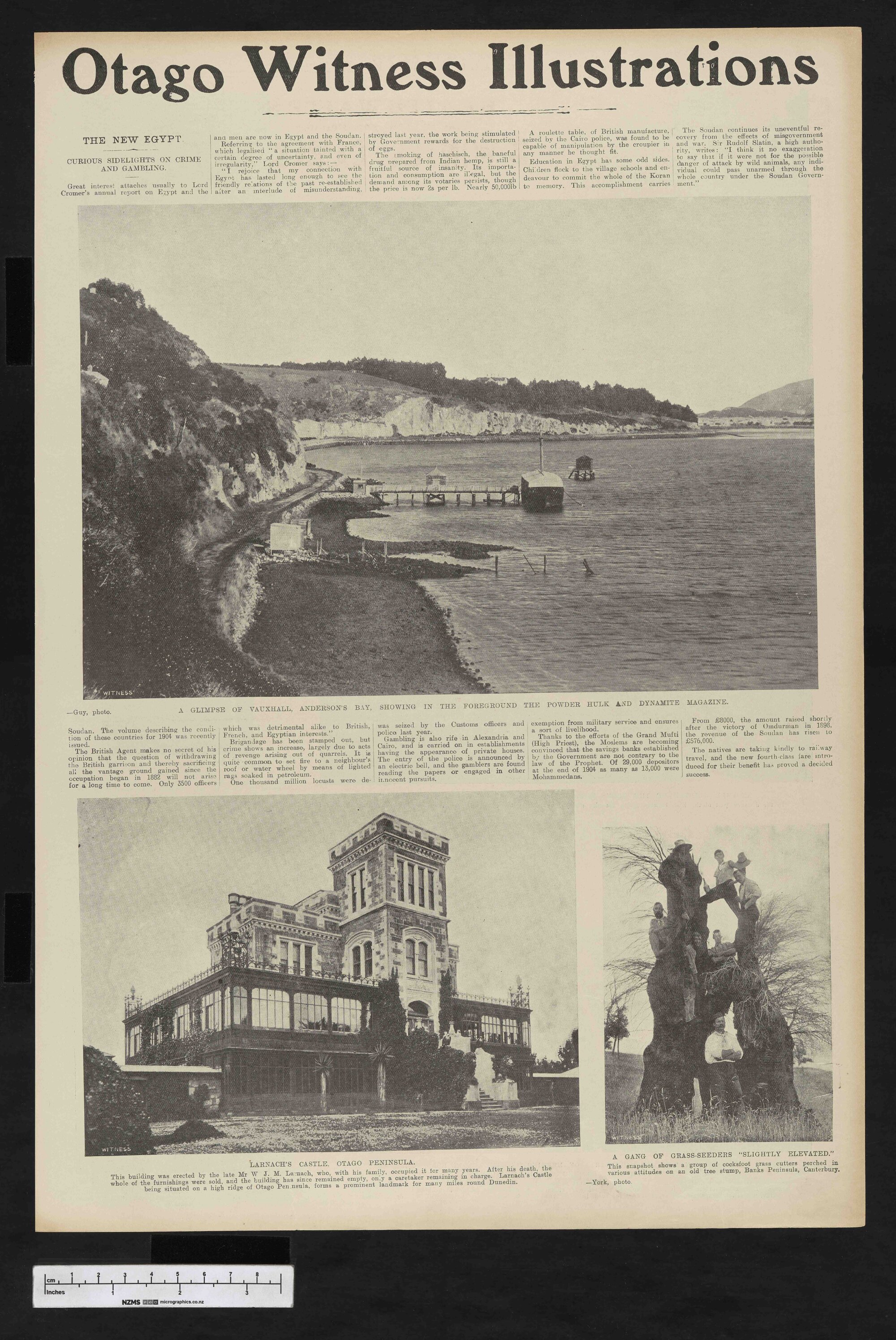 1905-06-28 Otago Witness