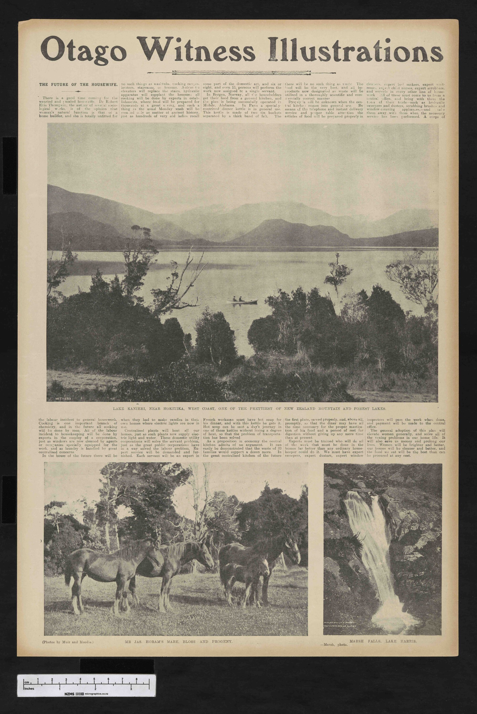 1905-07-05 Otago Witness