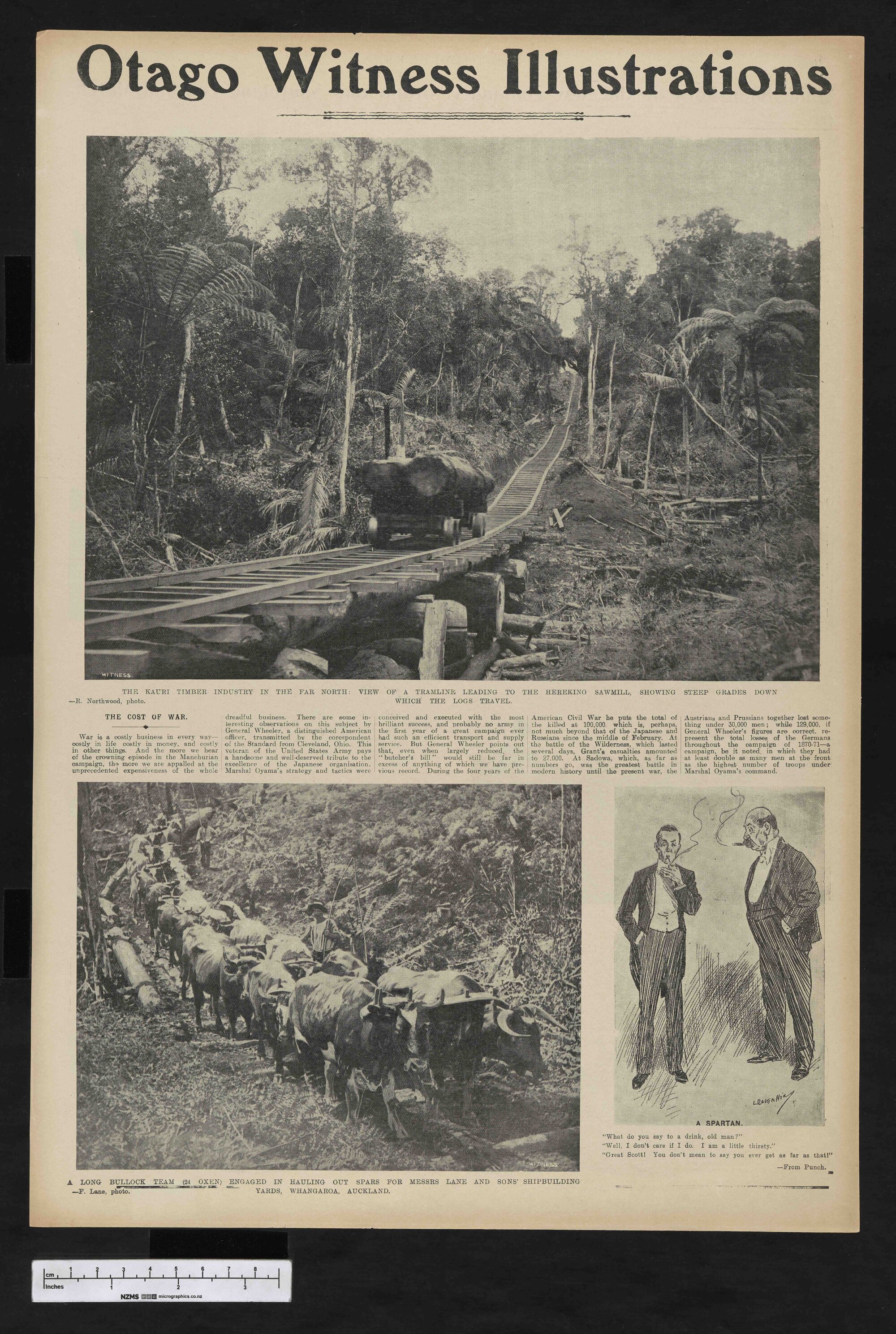 1905-08-02 Otago Witness