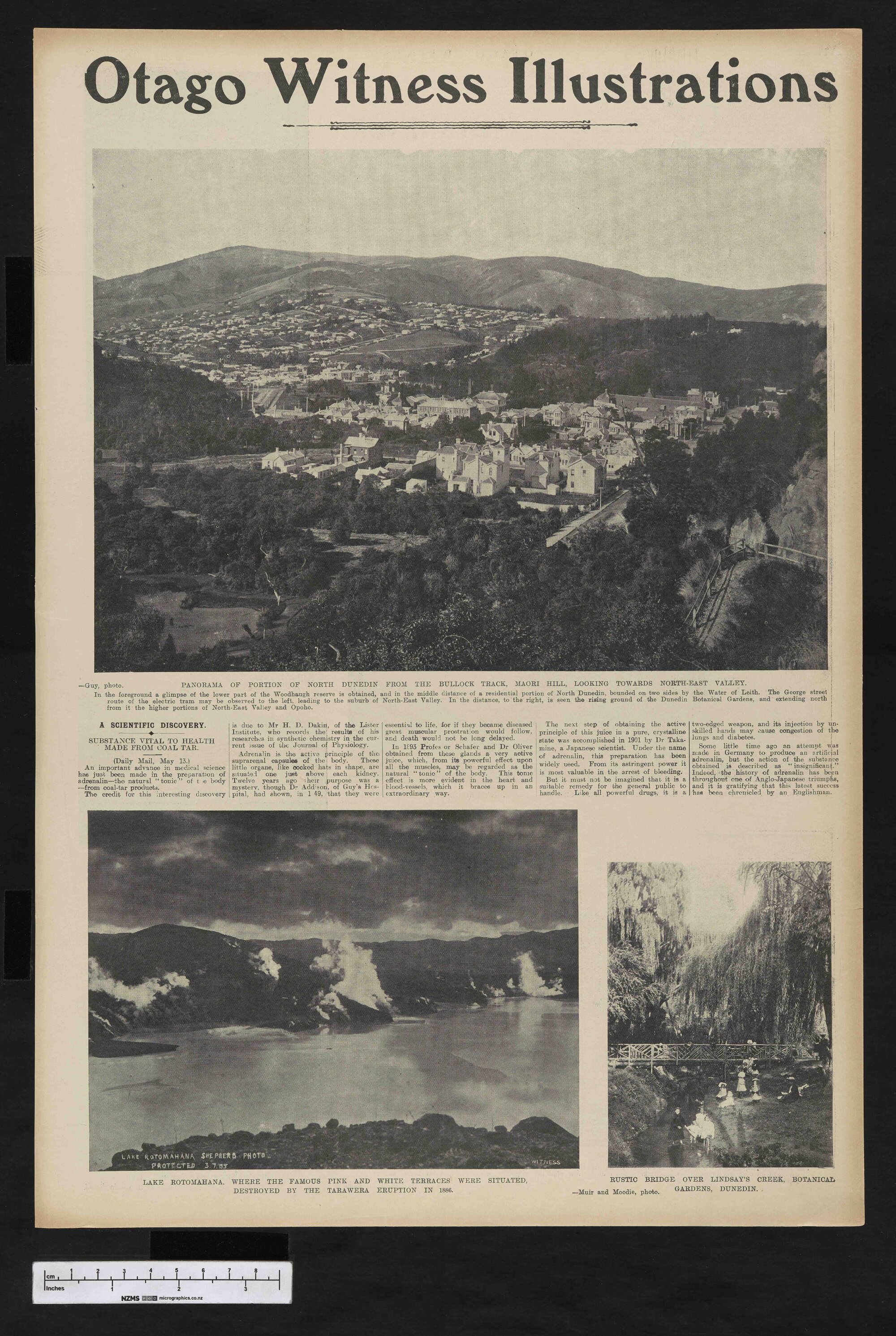 1905-08-09 Otago Witness