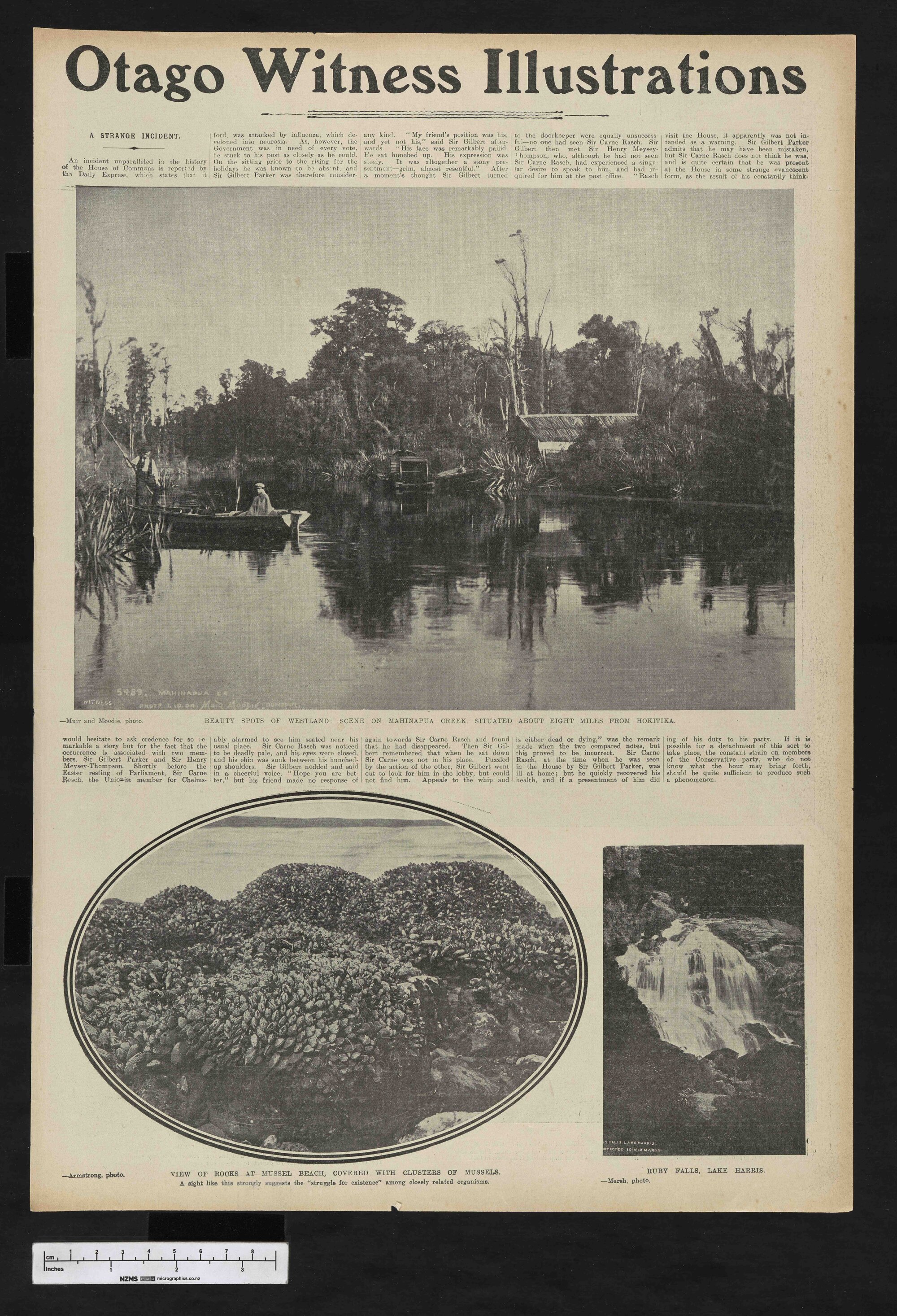 1905-08-23 Otago Witness