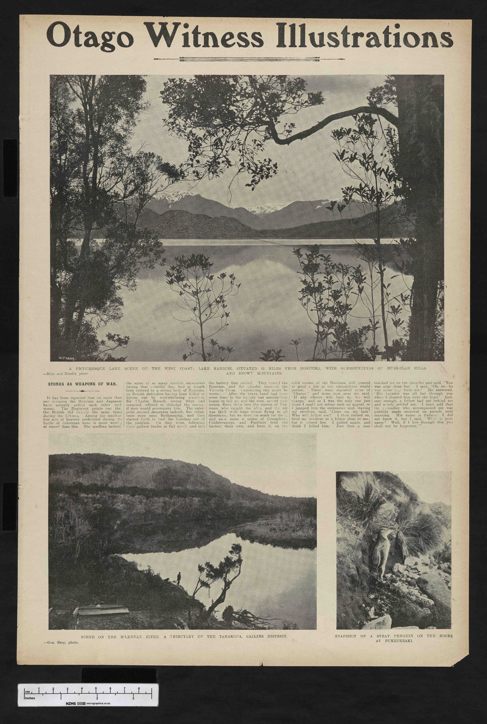 1905-08-30 Otago Witness