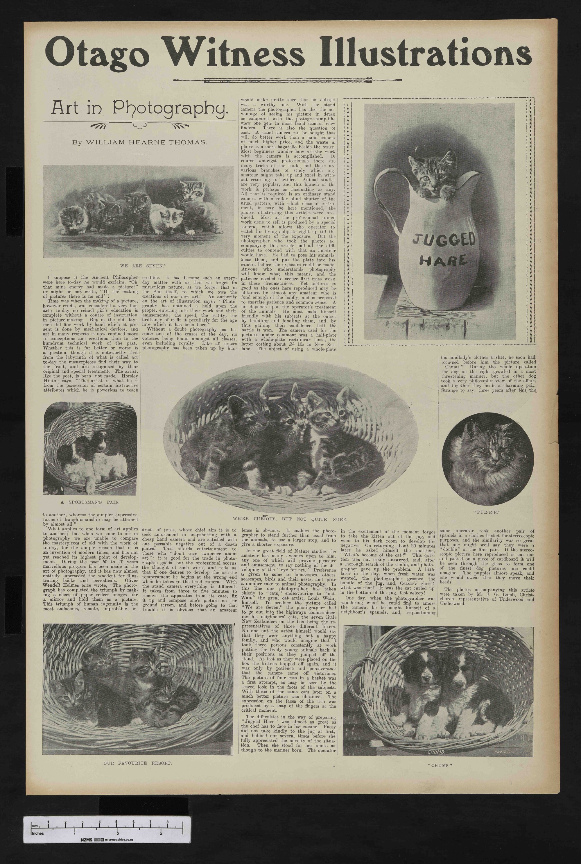 1905-09-13 Otago Witness