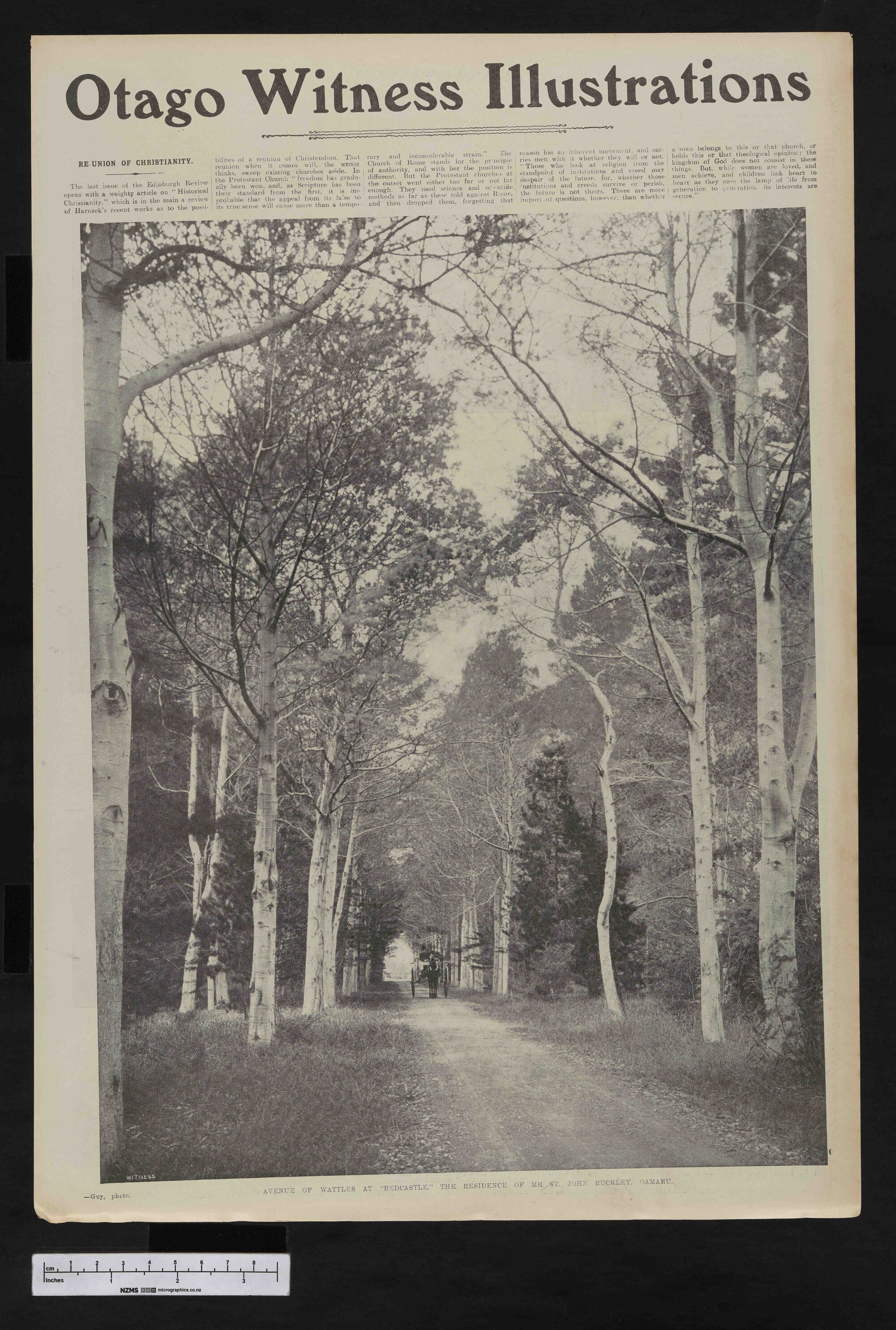 1905-11-01 Otago Witness