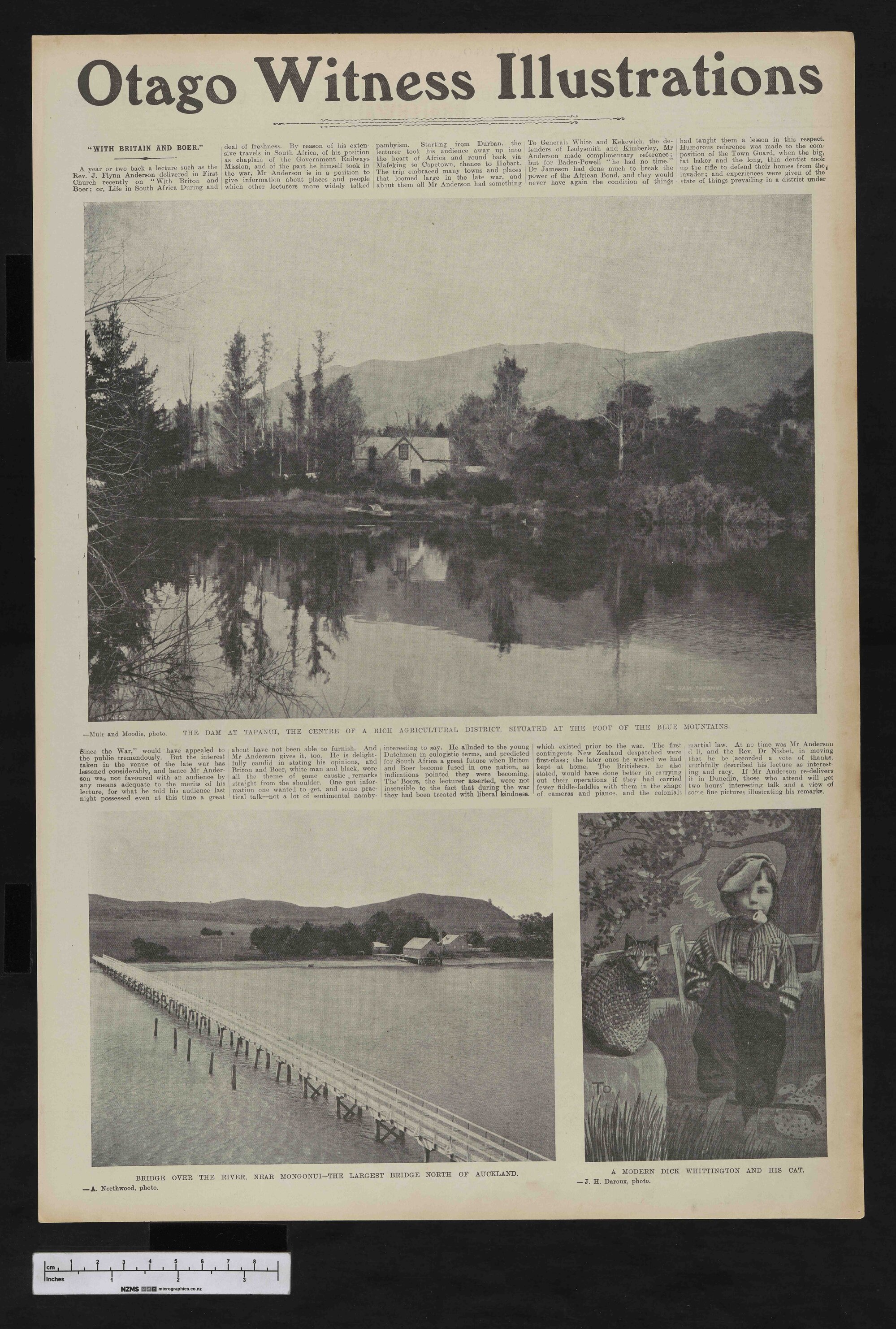 1905-11-08 Otago Witness