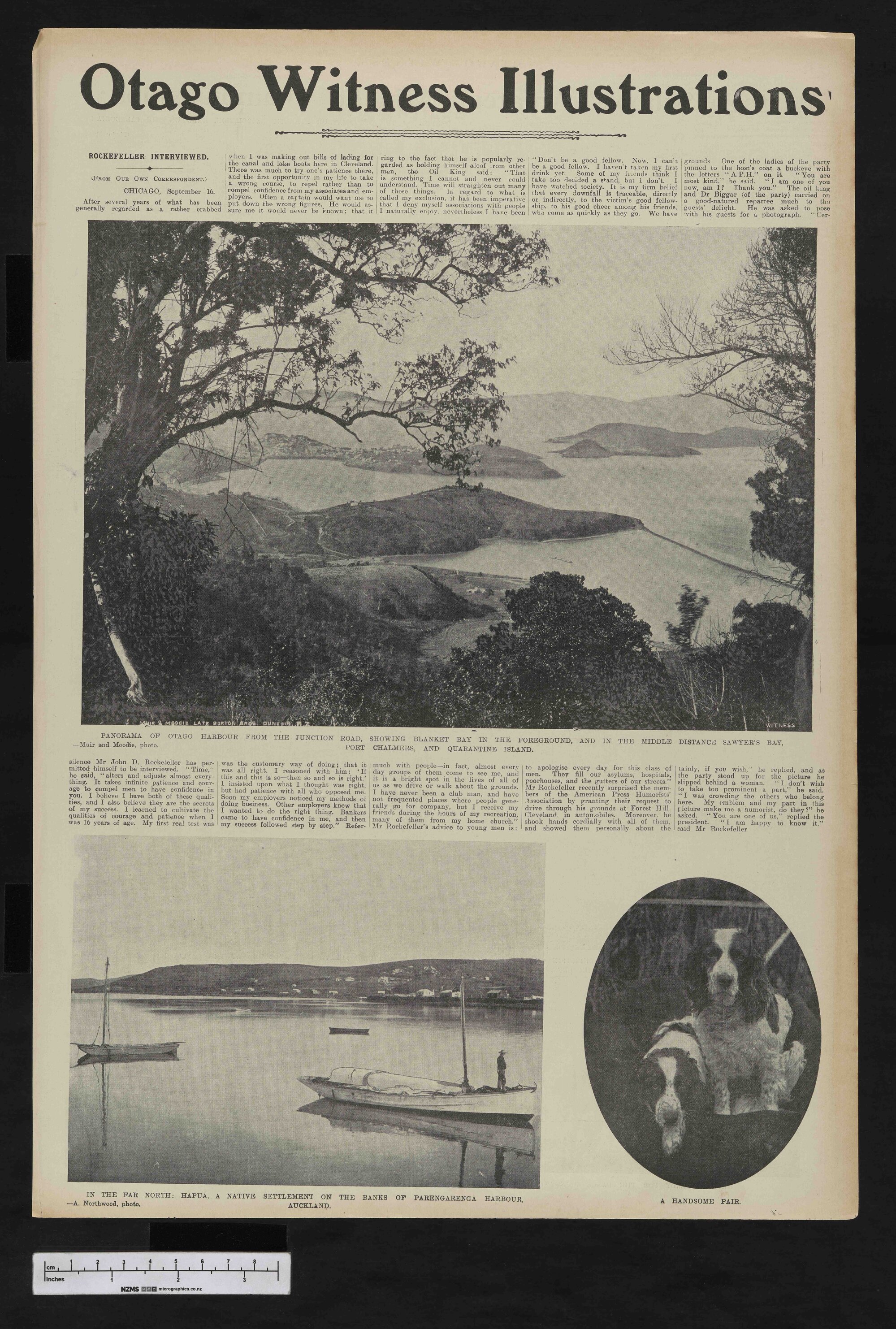 1905-11-22 Otago Witness