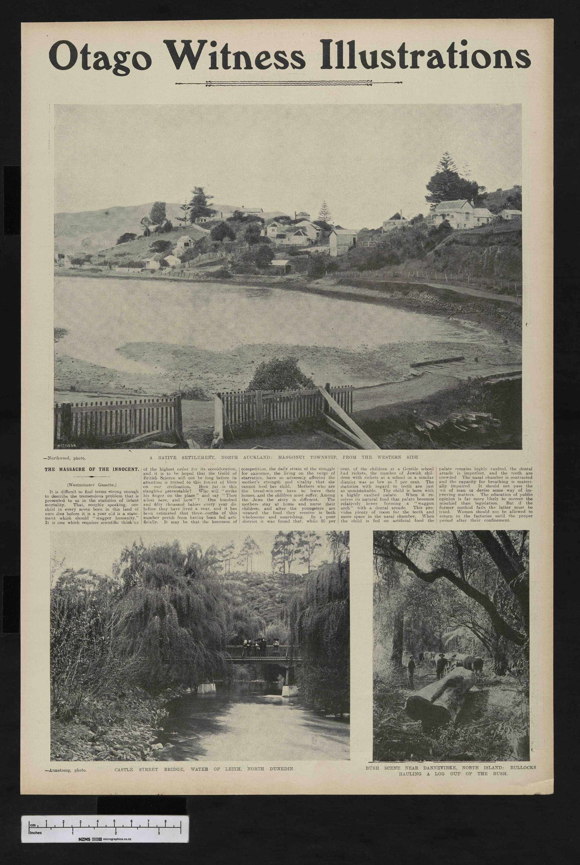 1906-01-10 Otago Witness