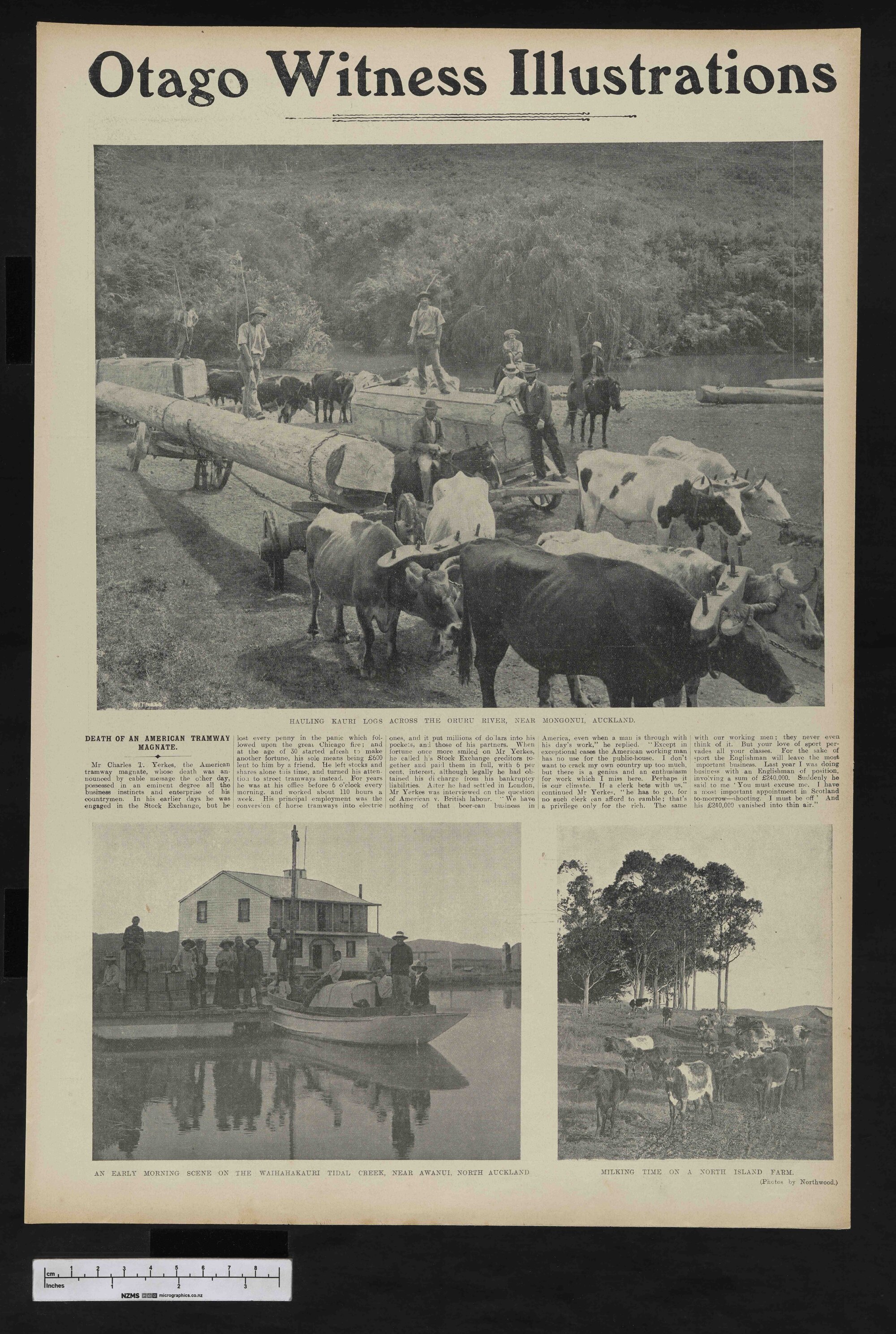 1906-01-31 Otago Witness