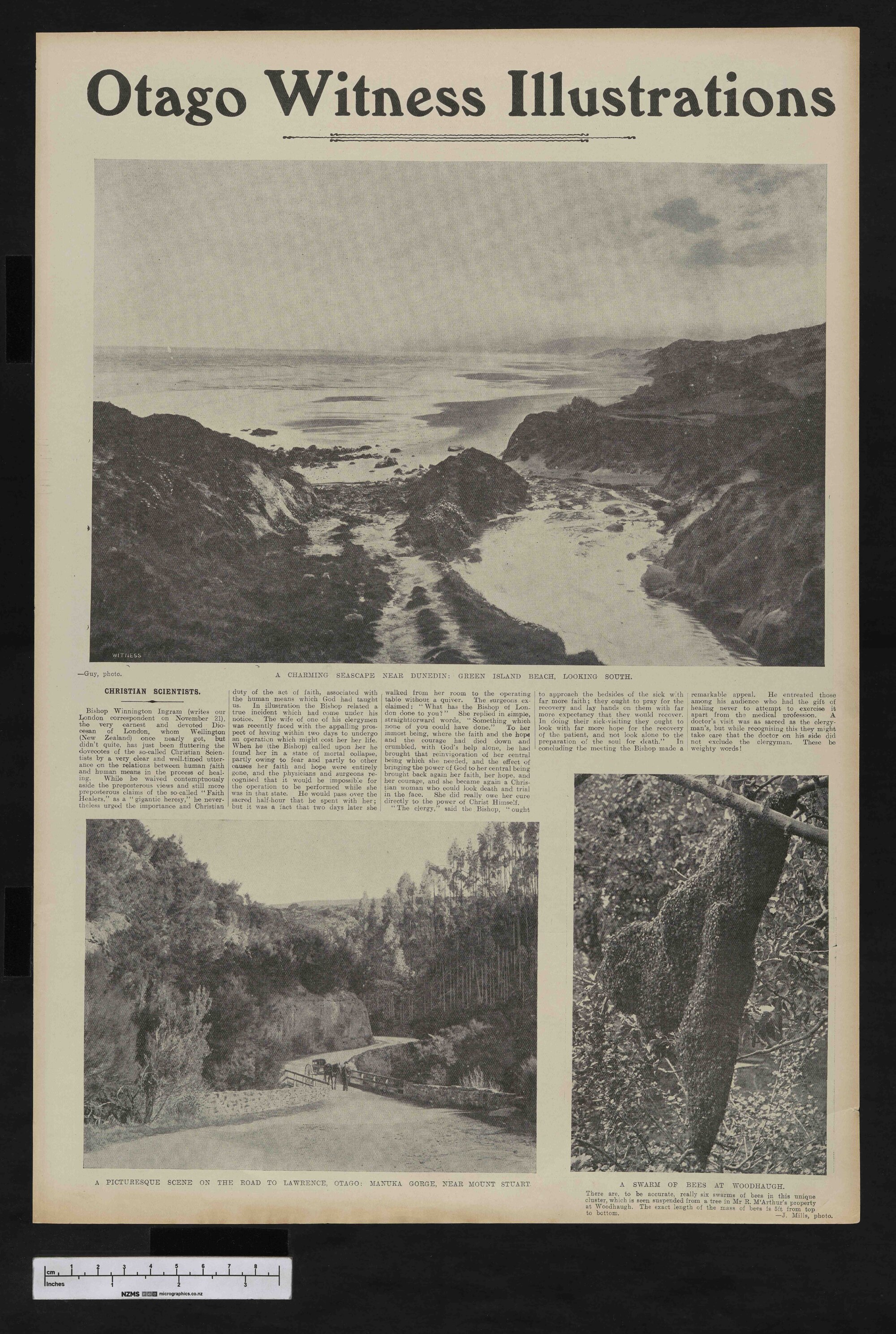1906-02-14 Otago Witness