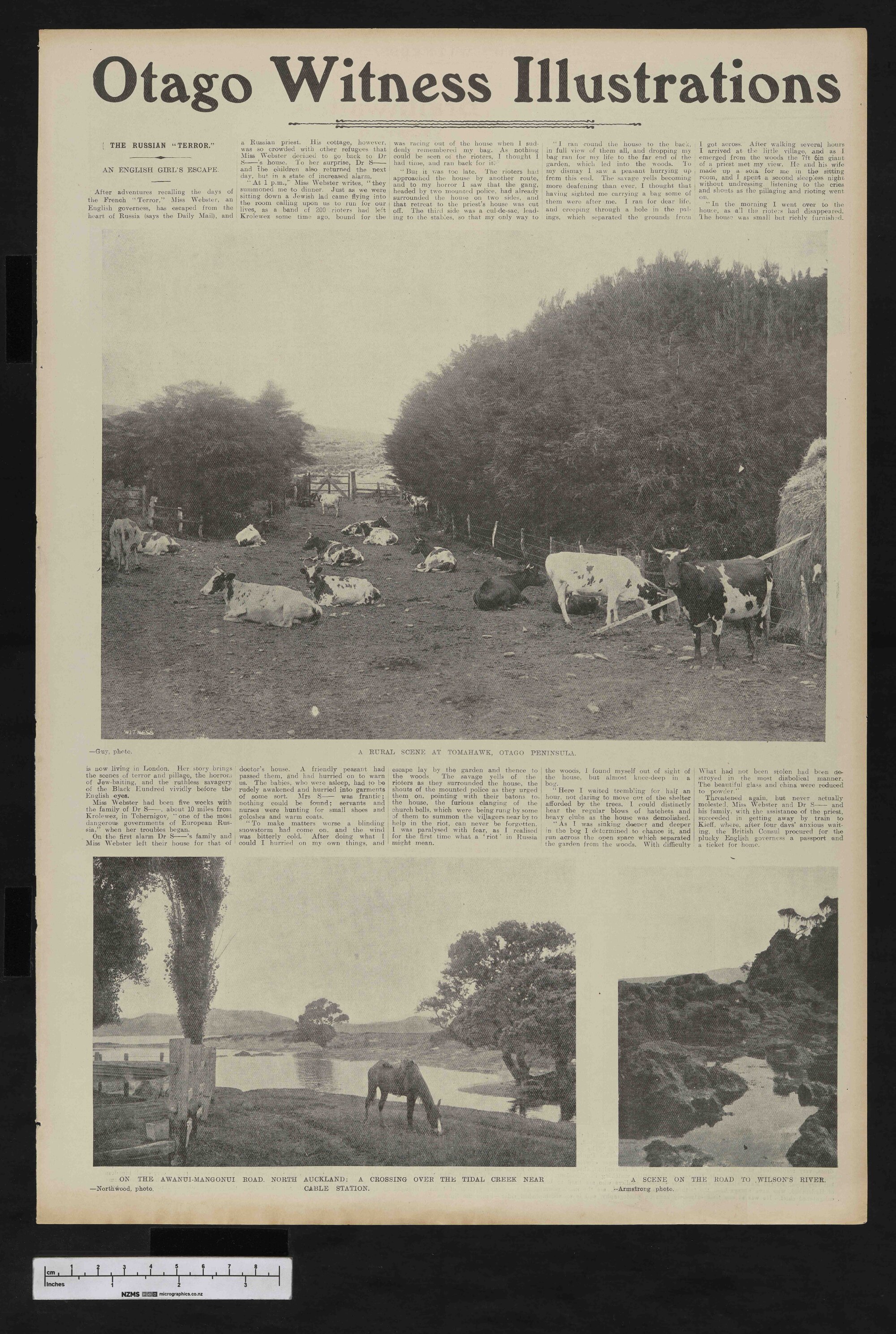 1906-02-21 Otago Witness