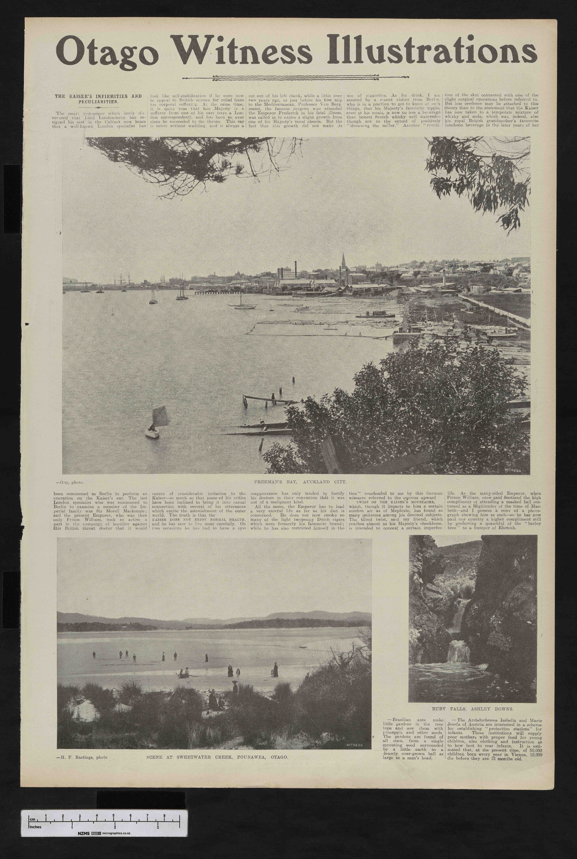 1906-02-27 Otago Witness