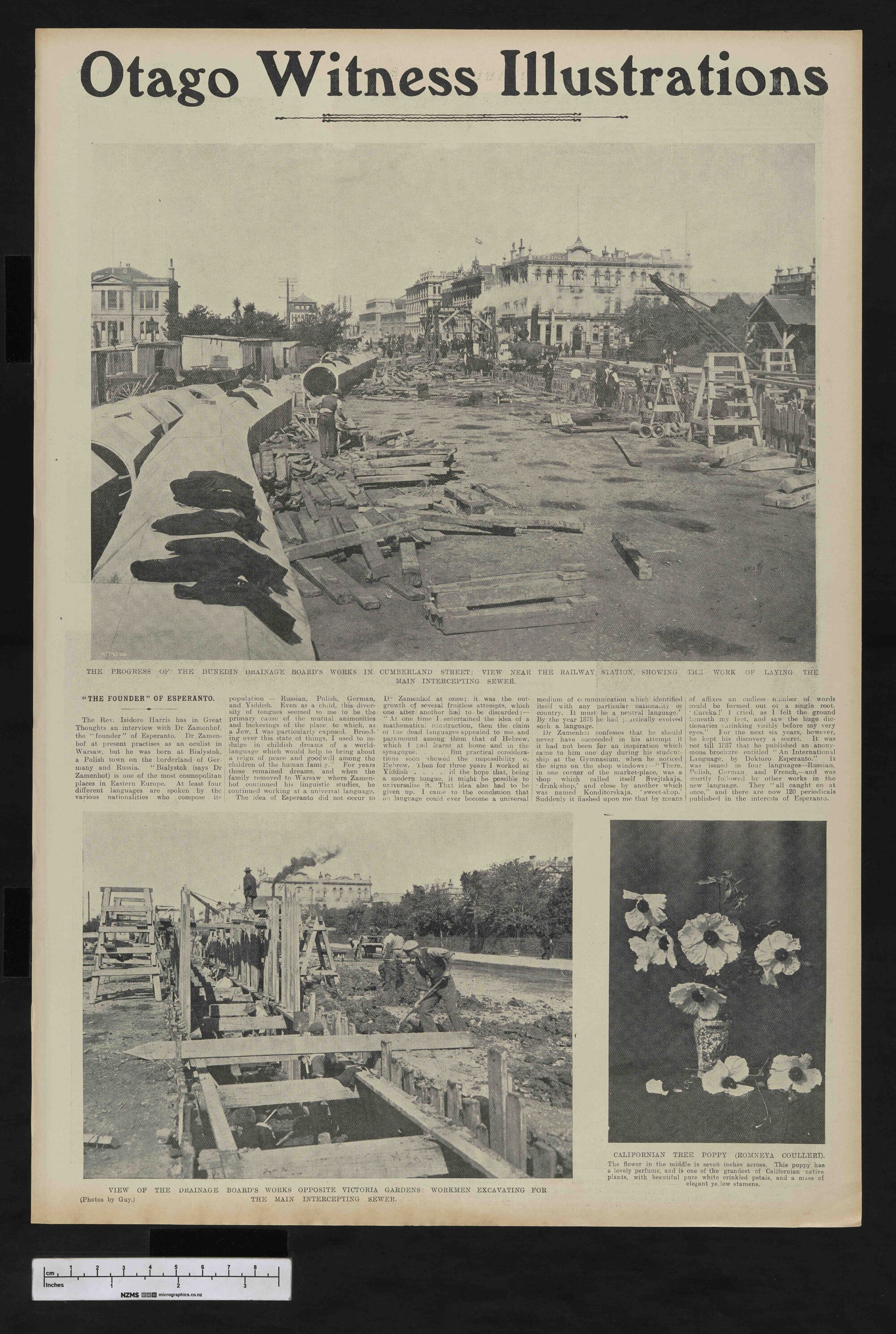 1906-03-28 Otago Witness