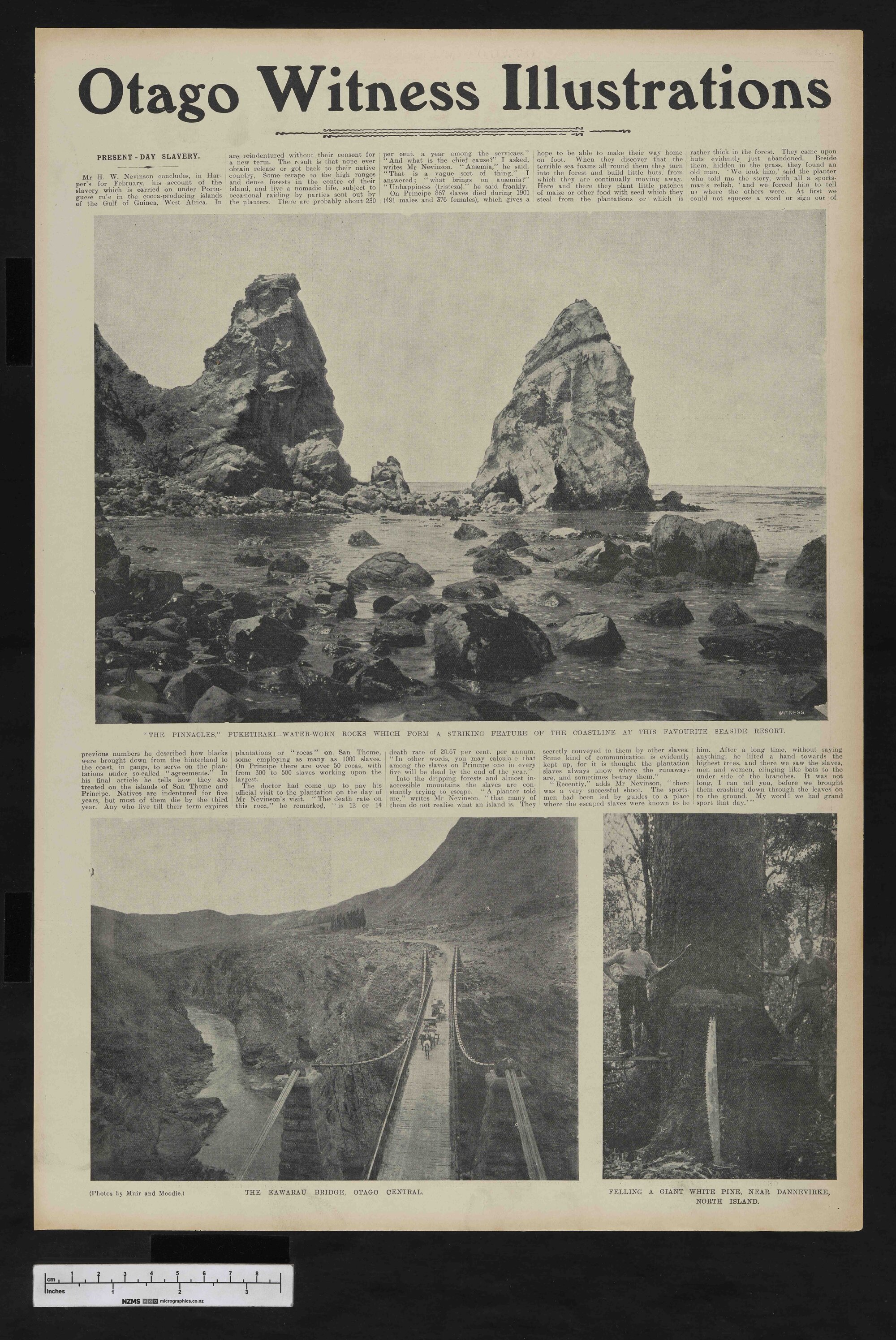 1906-05-09 Otago Witness