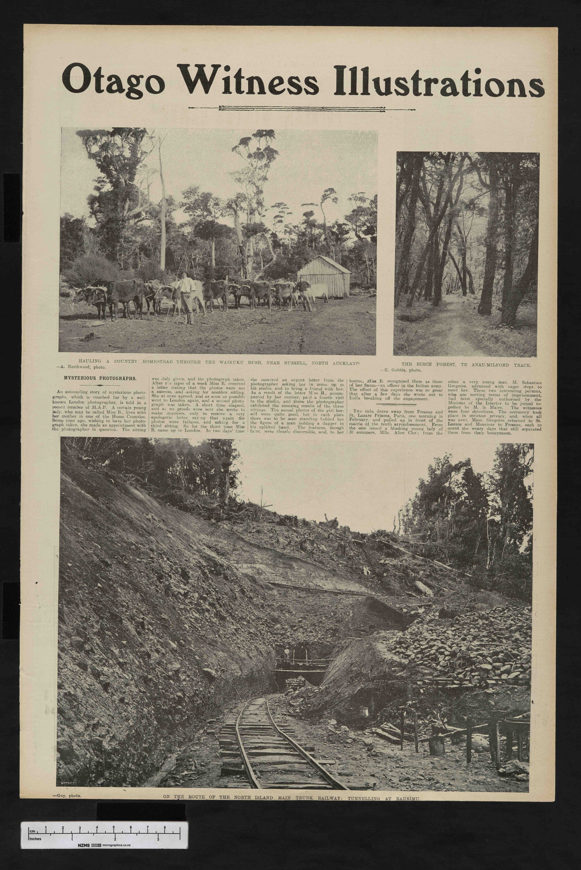 1906-06-13 Otago Witness