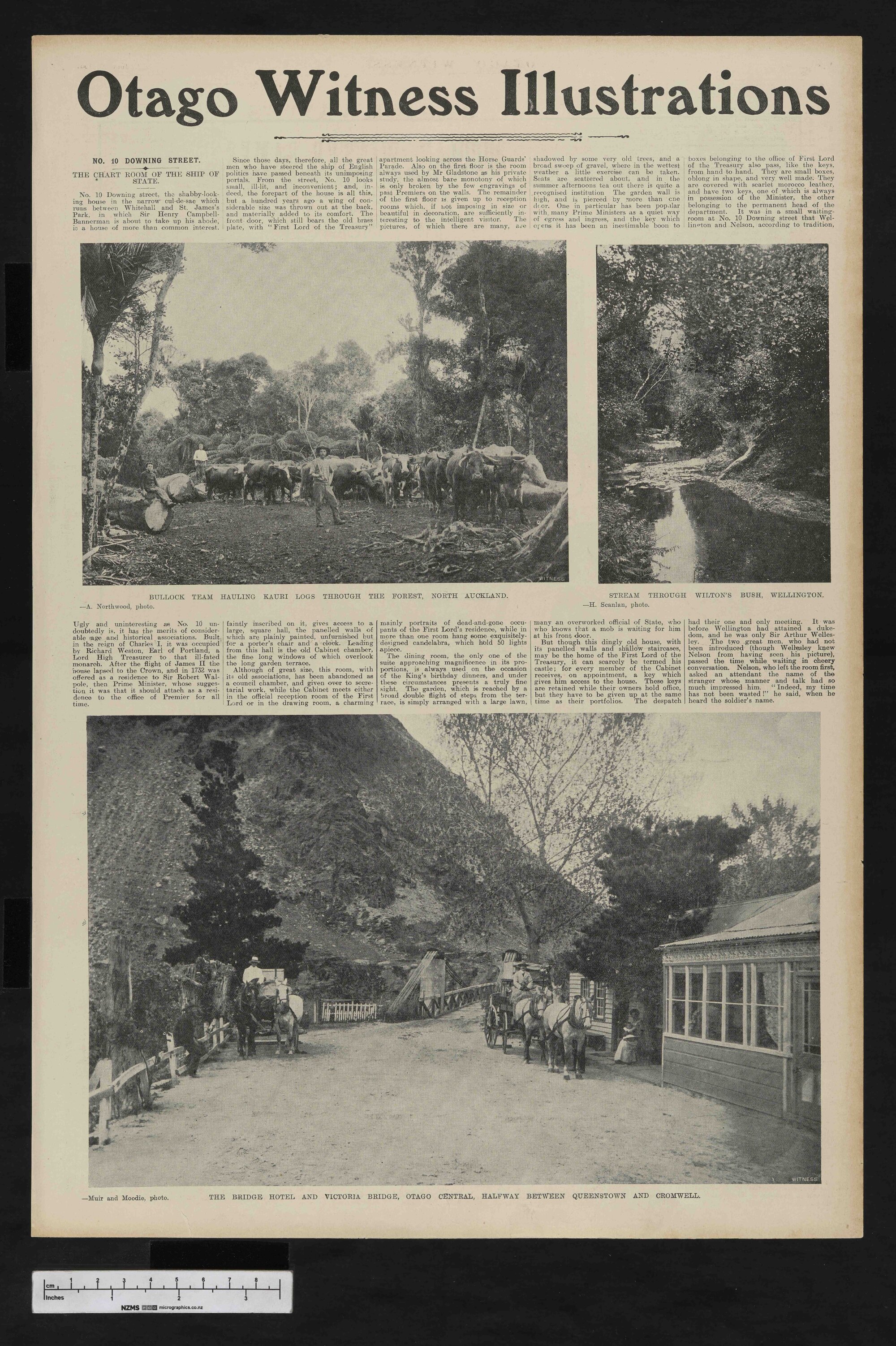 1906-07-25 Otago Witness