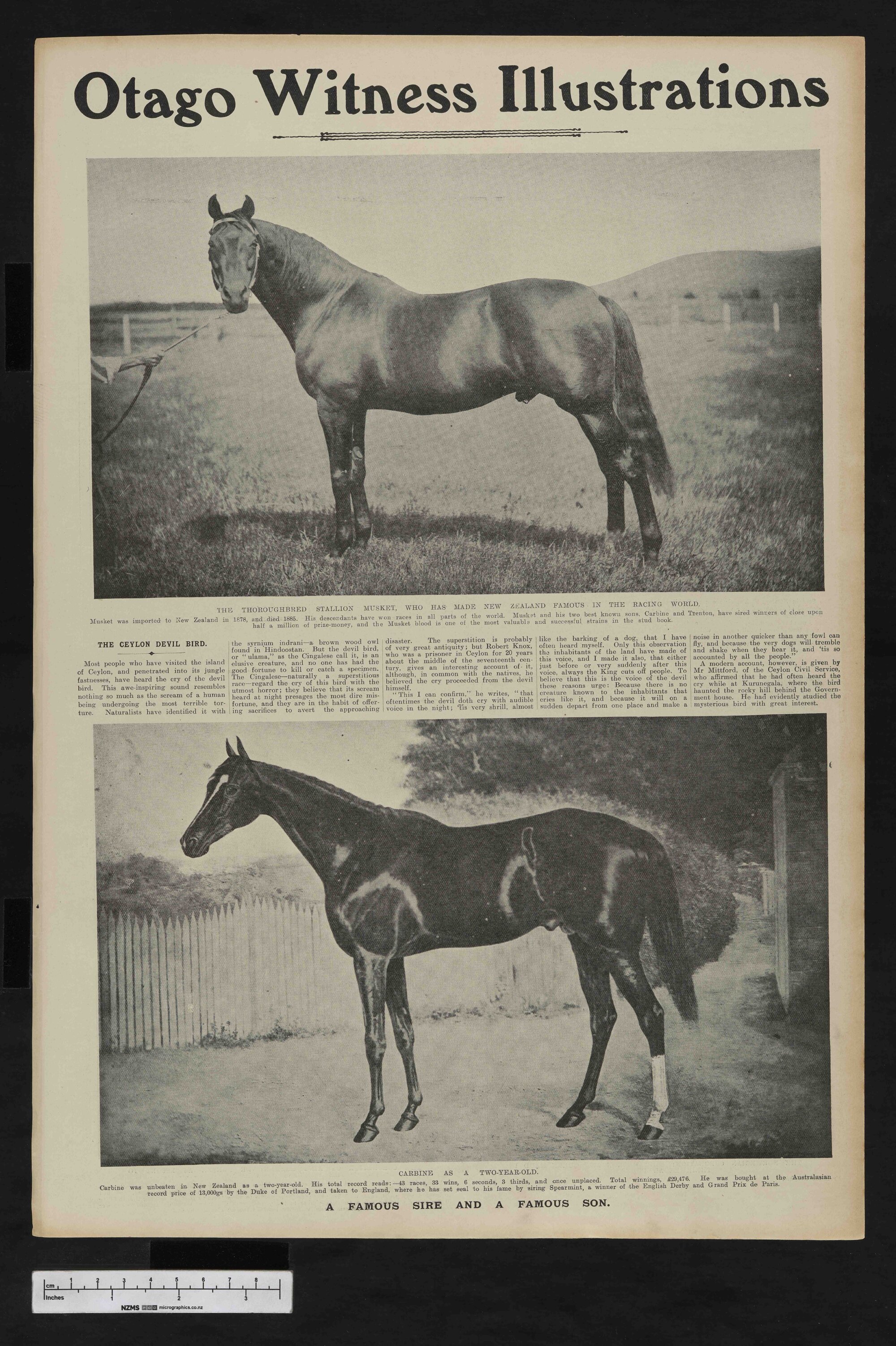 1906-08-08 Otago Witness