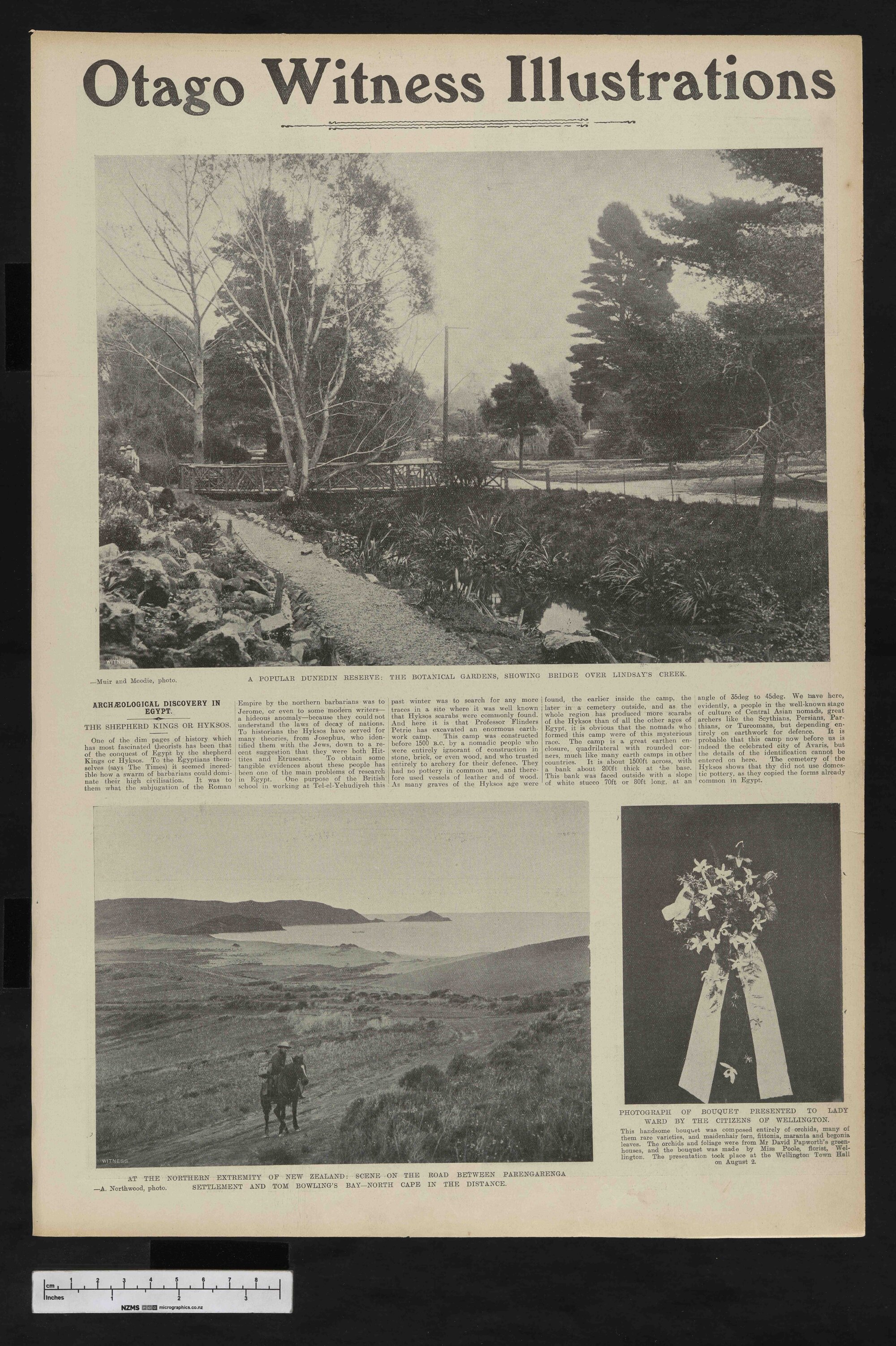 1906-08-15 Otago Witness