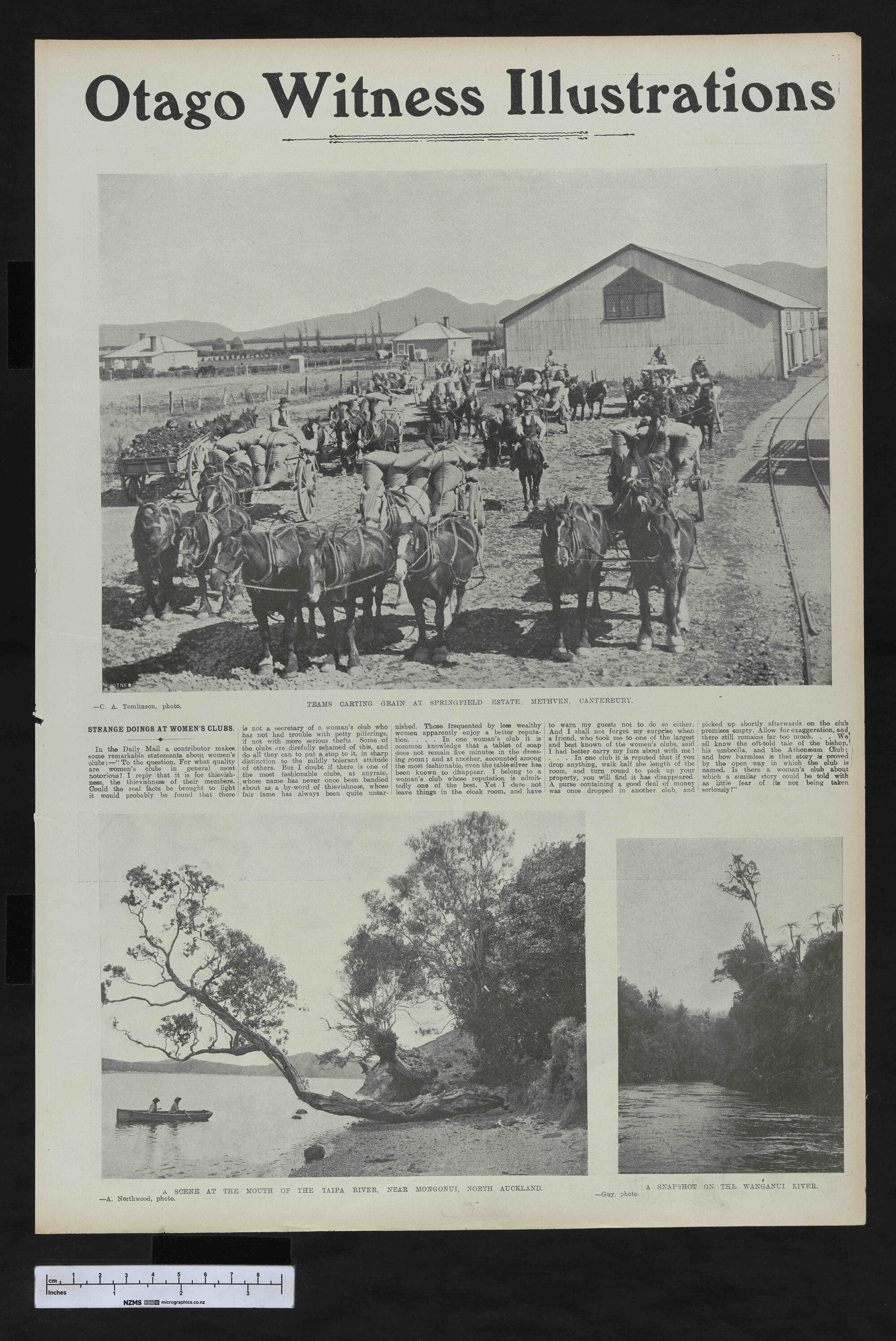 1906-10-24 Otago Witness