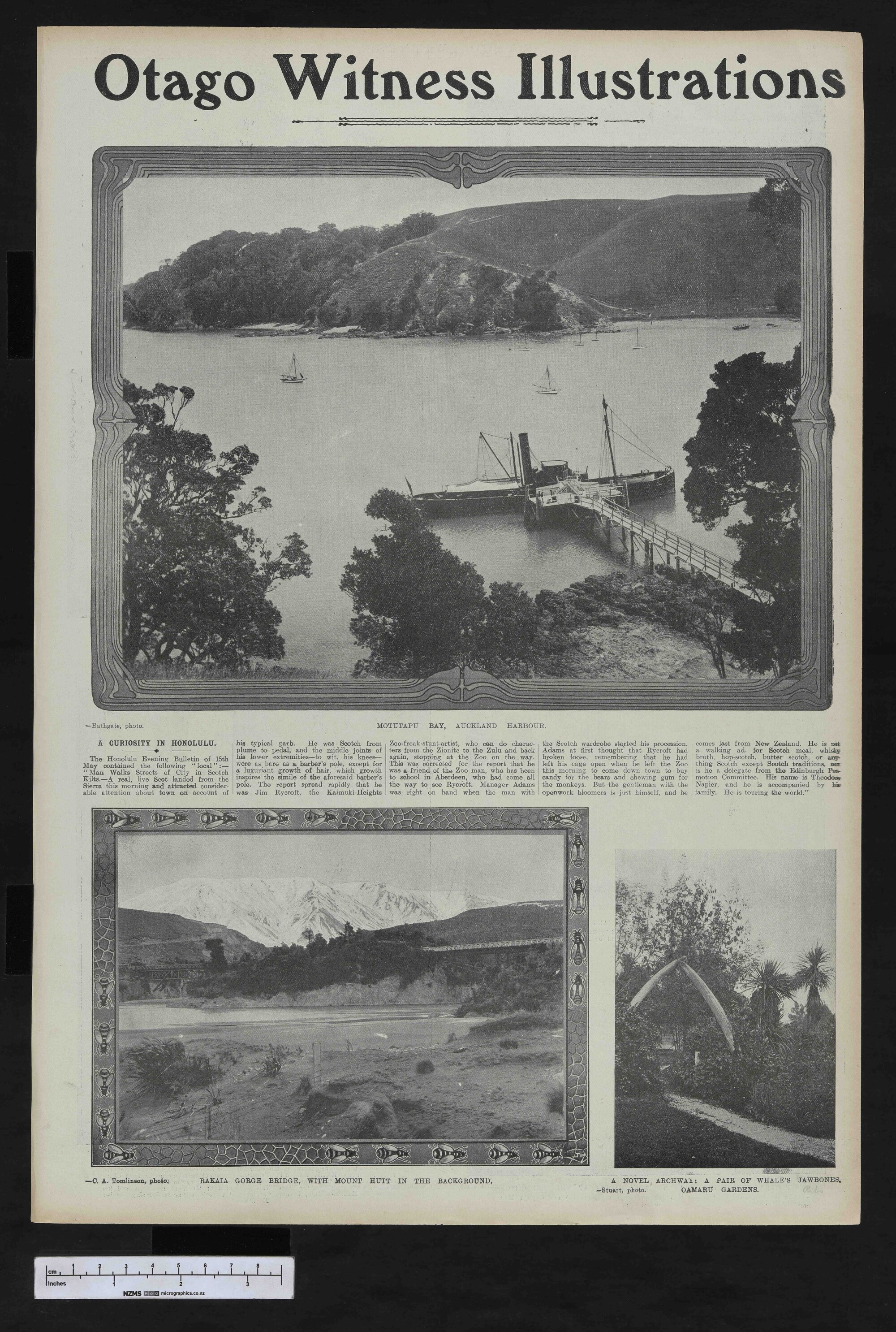 1906-12-19 Otago Witness