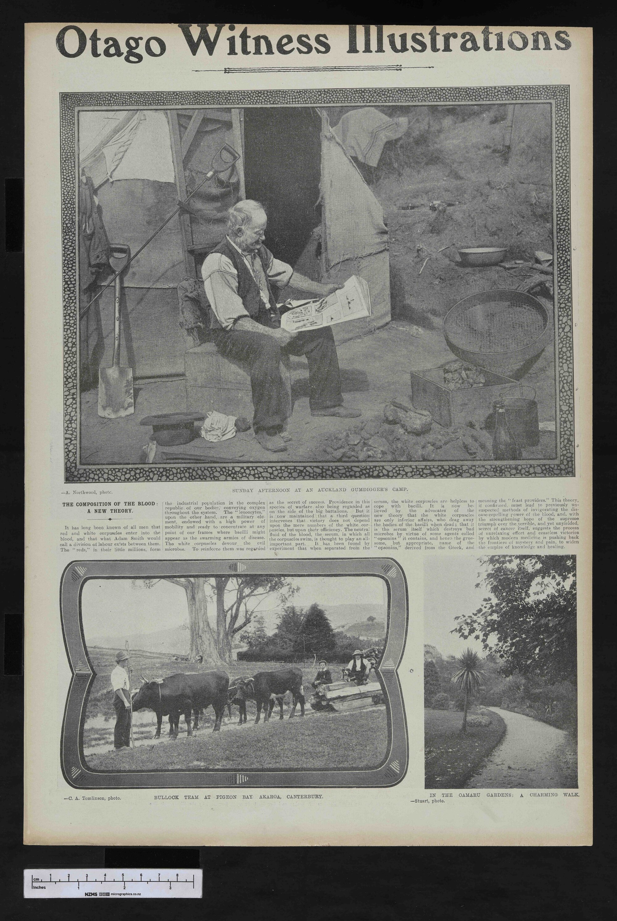 1906-12-26 Otago Witness