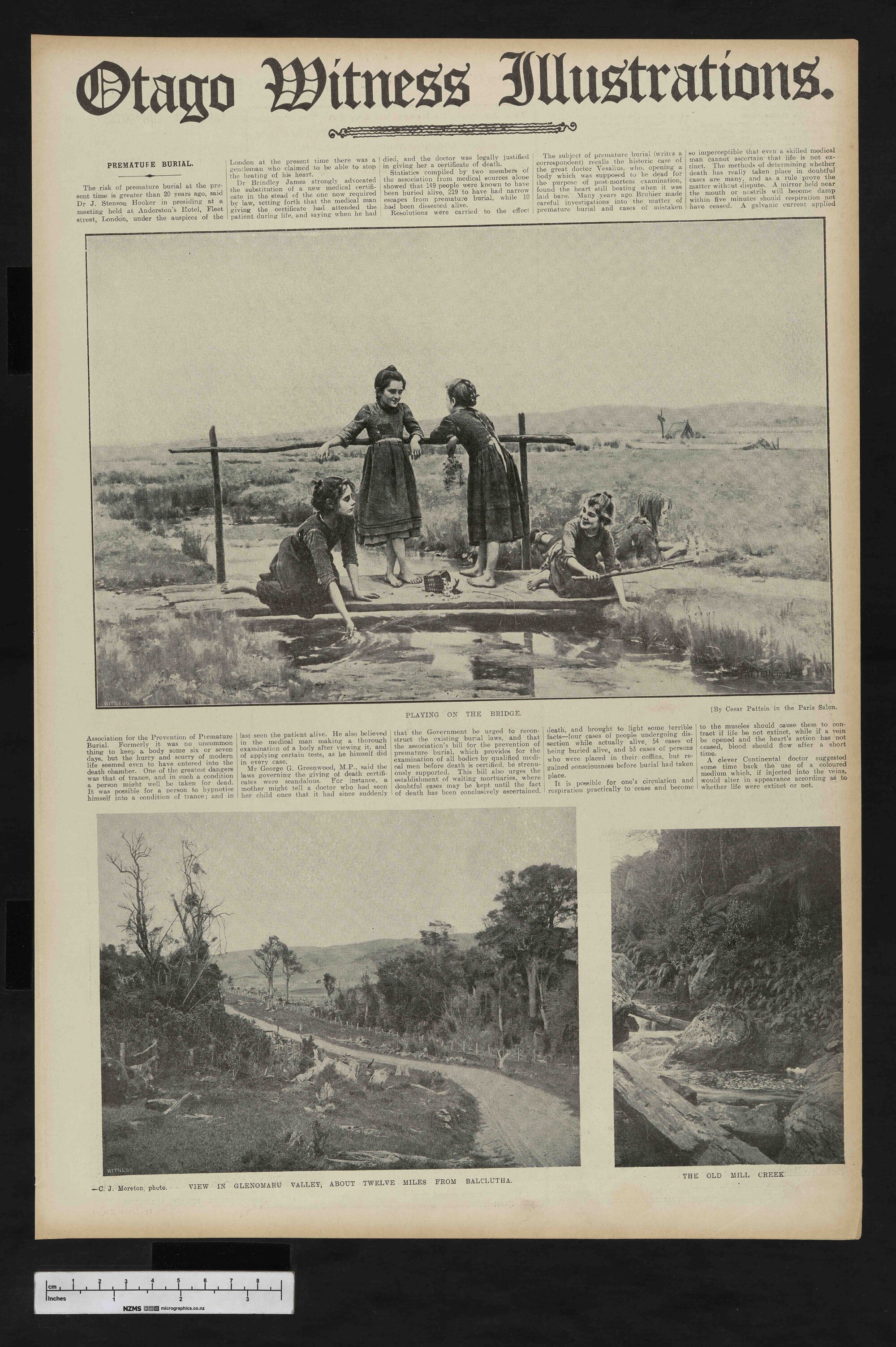 1908-01-08 Otago Witness