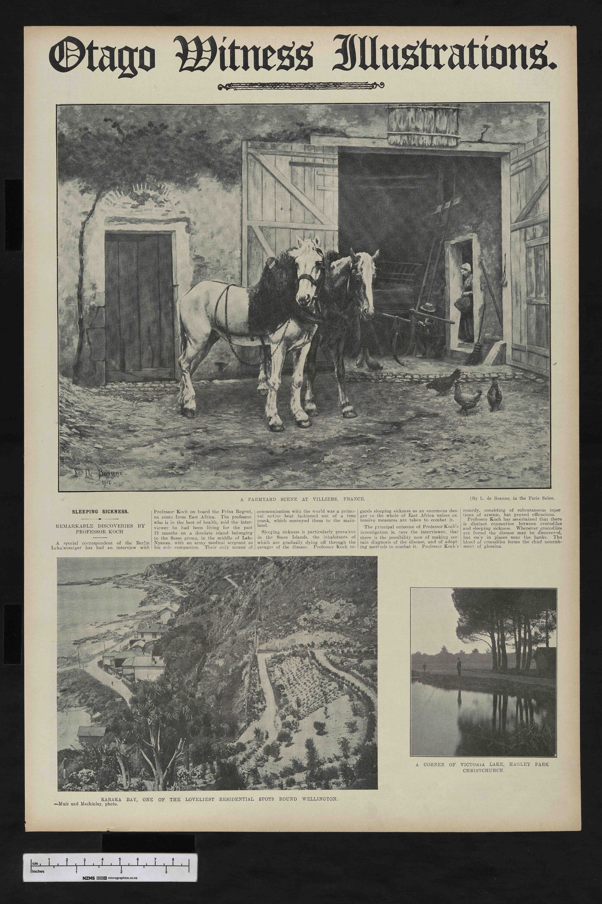 1908-01-22 Otago Witness